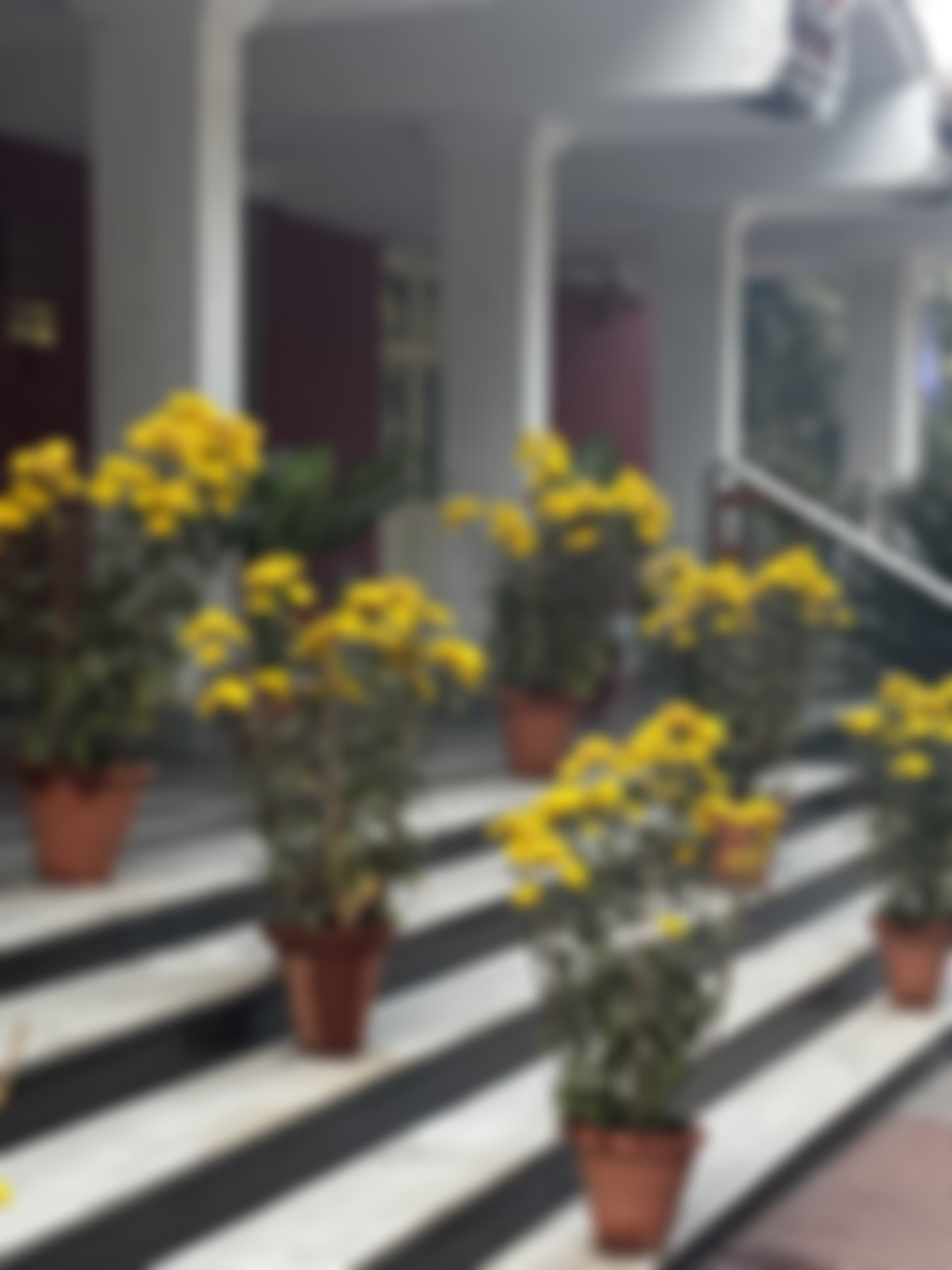 Daulat Ram College Campus photo (17) by VEDDA THANGJAM
