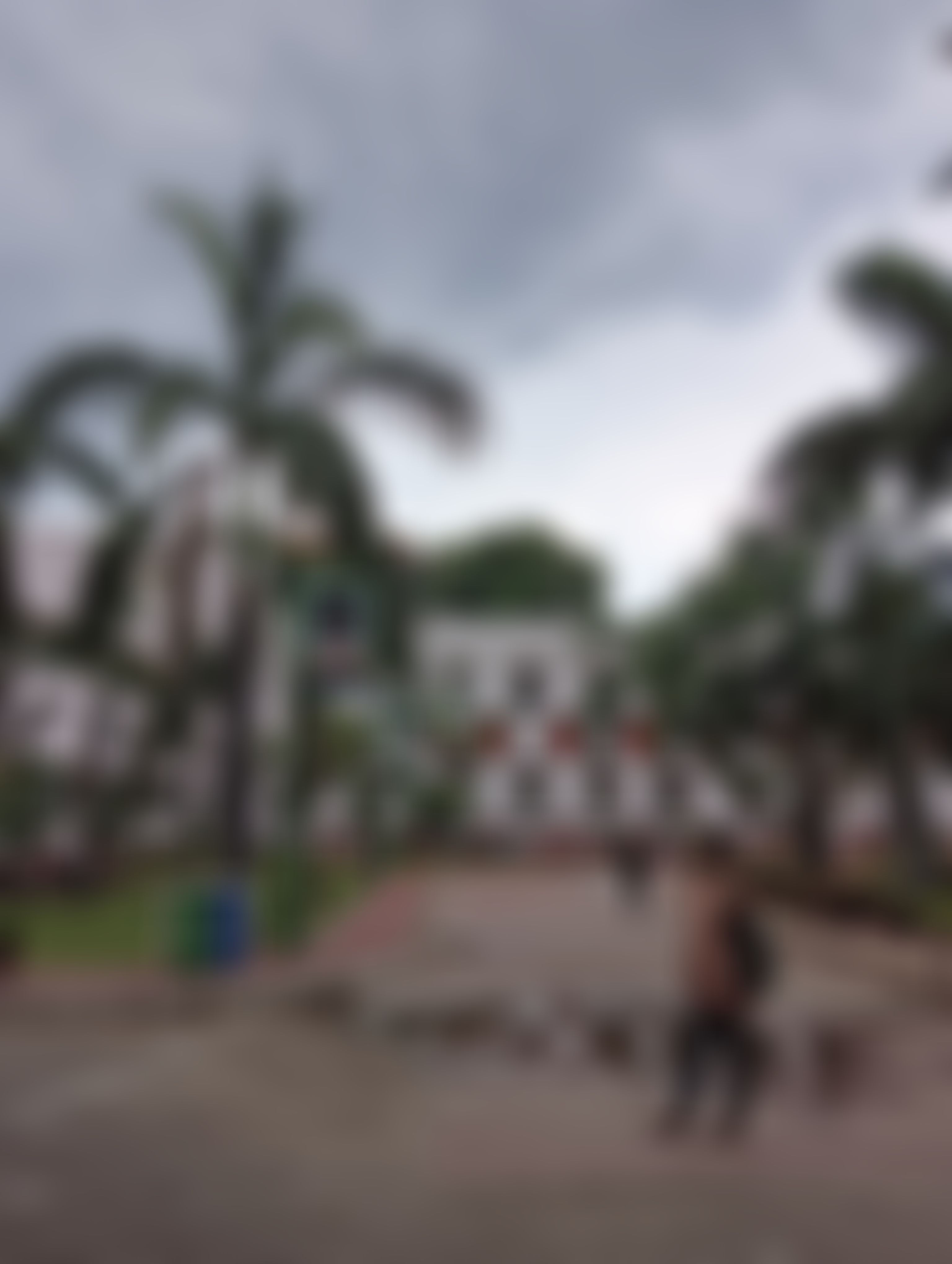 Daulat Ram College Campus photo (9) by Bardwi Basumatary