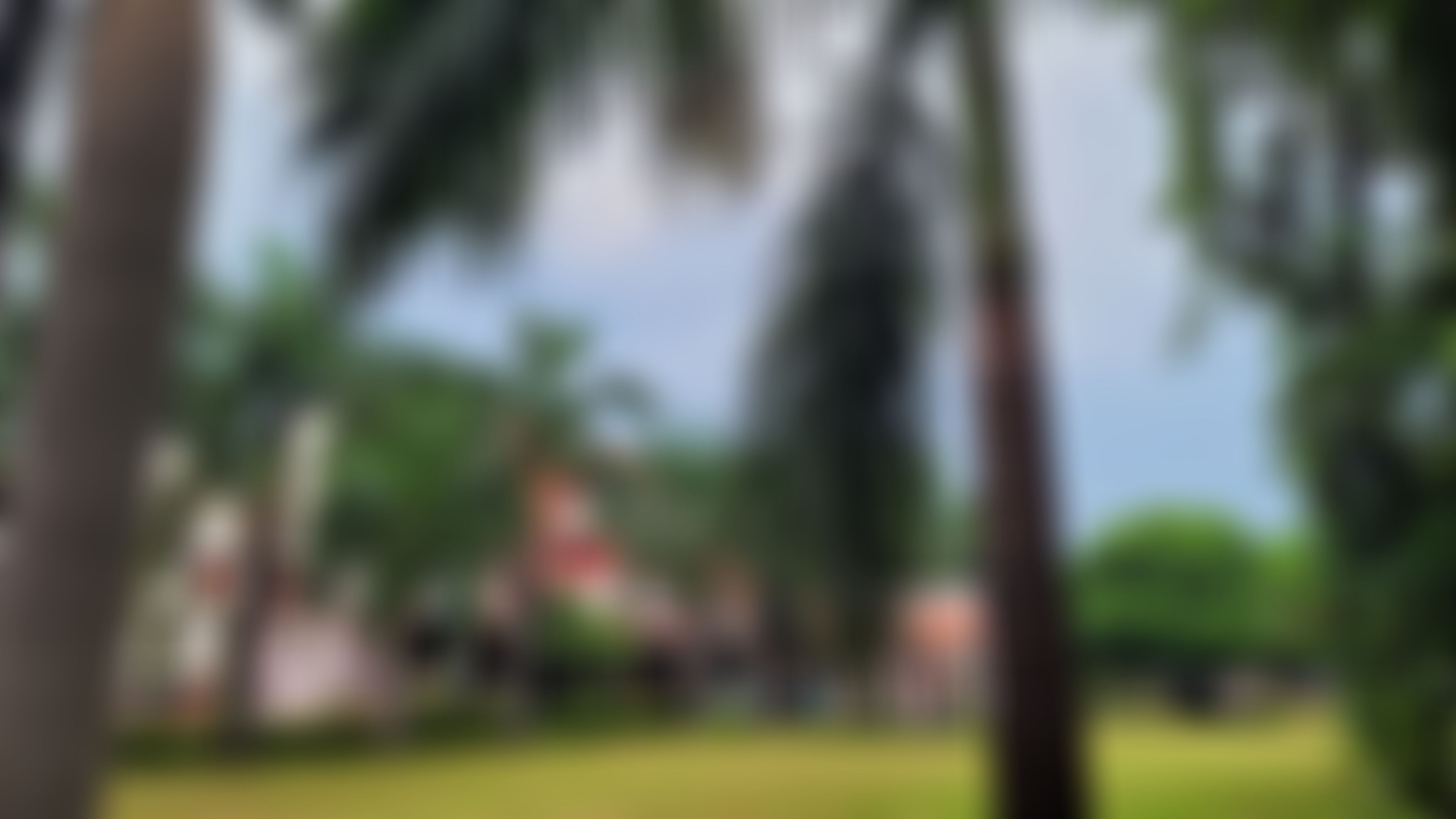Daulat Ram College Campus photo (7) by MONSOON DUTTA