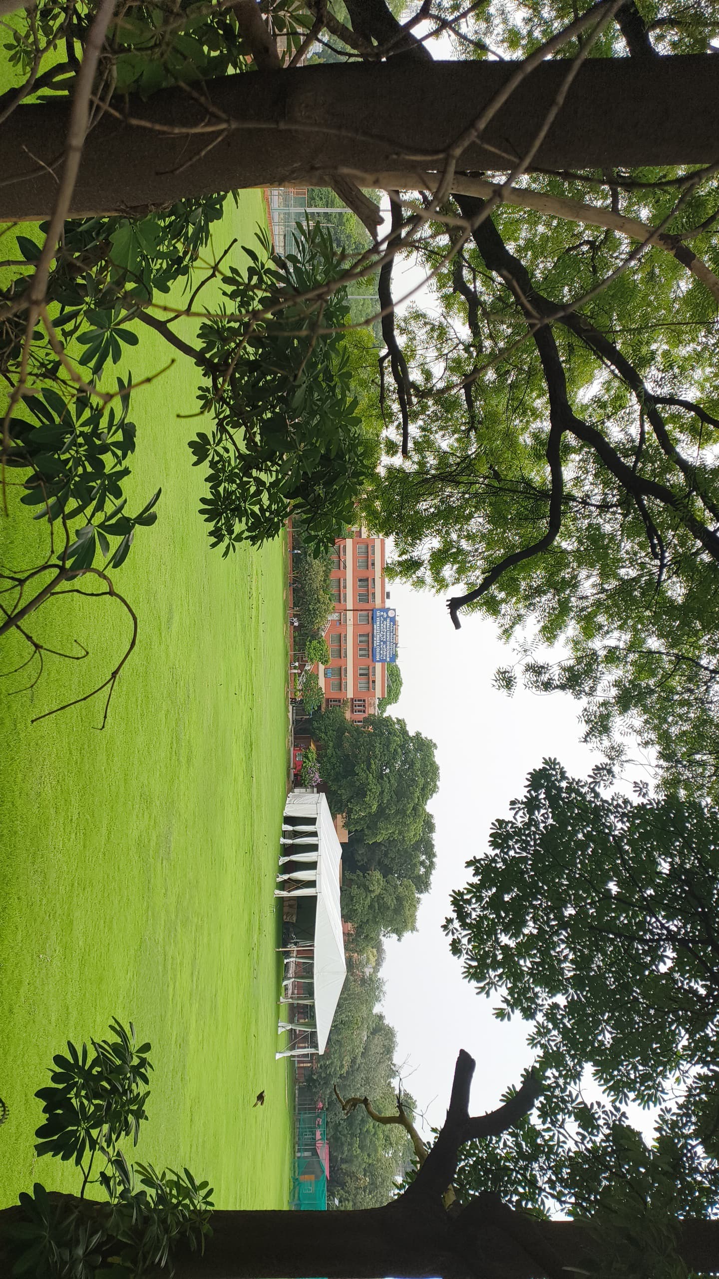 Delhi University Campus photo (7) by Saanvi Singh