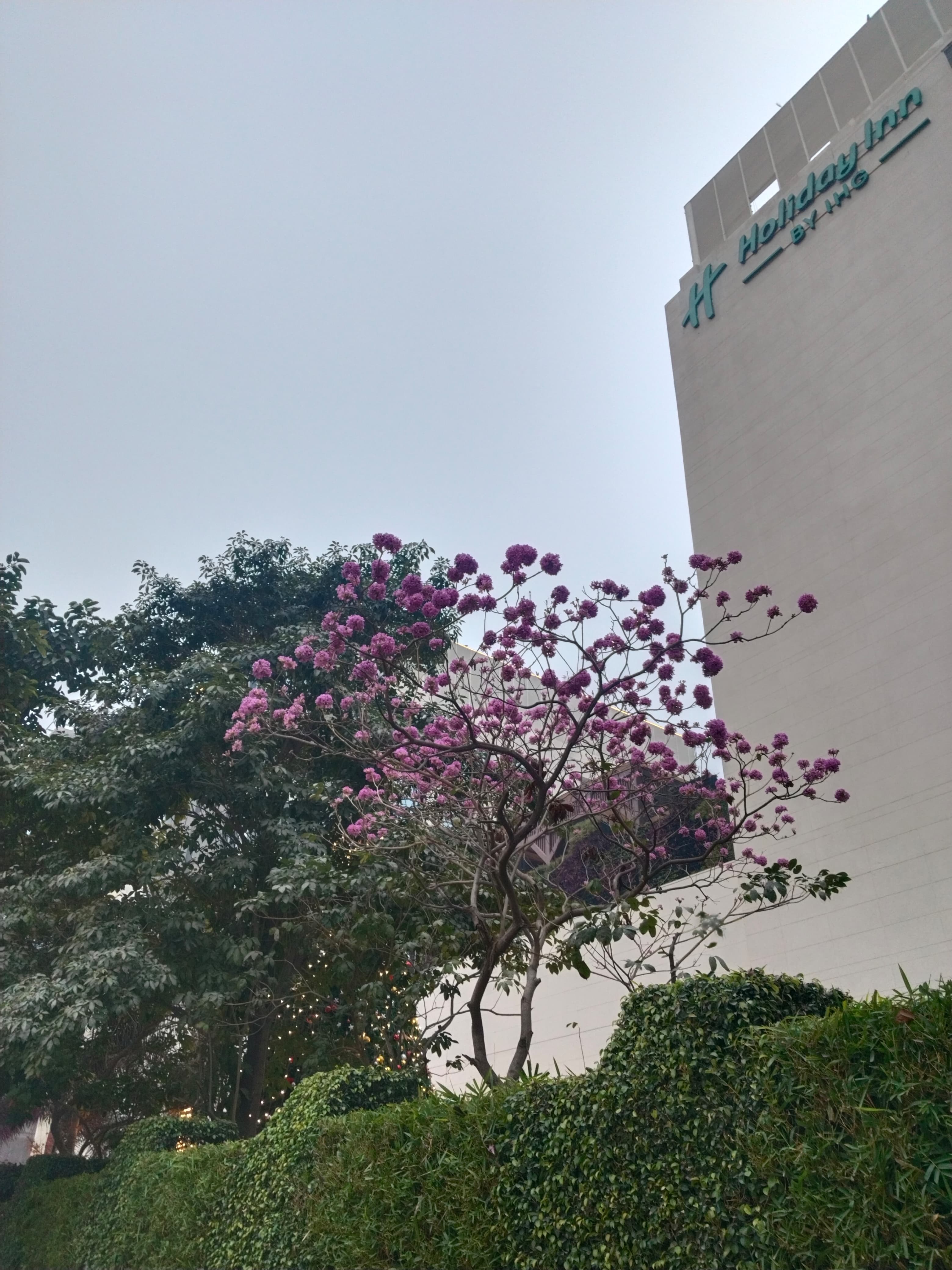 Delhi University Campus photo 1