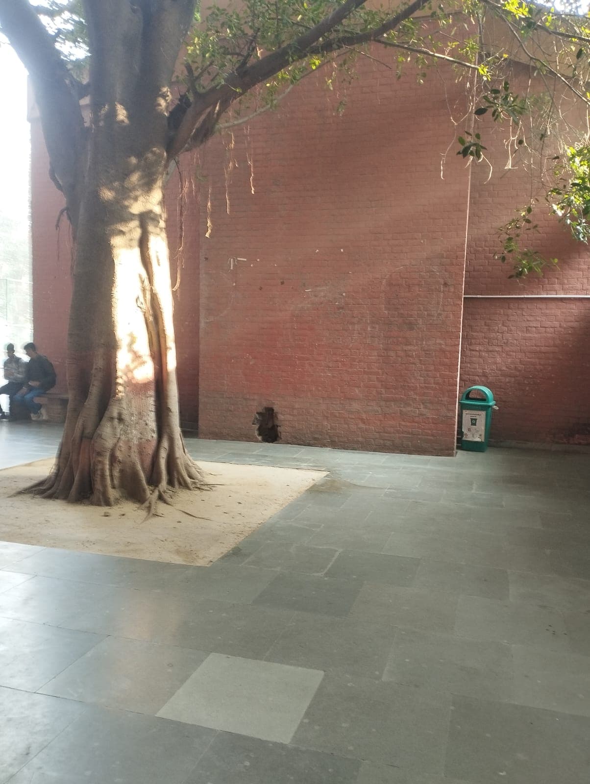 Delhi University Campus photo (9) by Himani