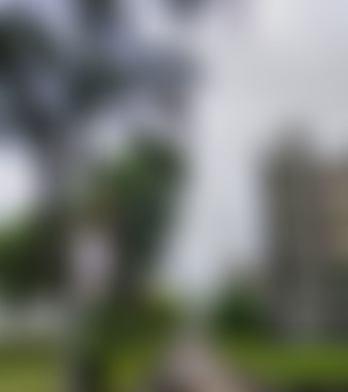 JUET Campus photo (15) by Ishan d