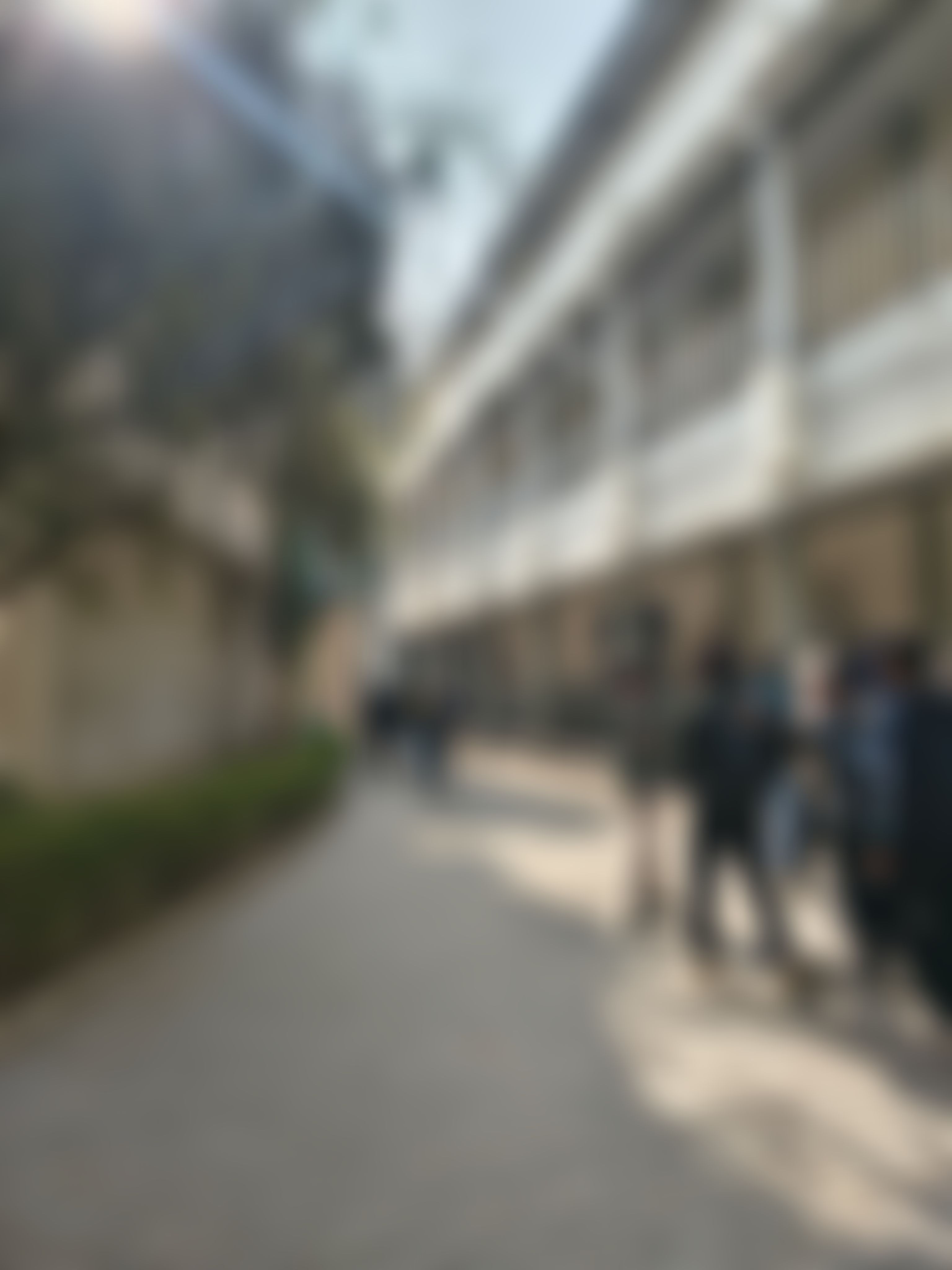 Shaheed Bhagat Singh College Campus photo (15) by DIVYA GEHLOT