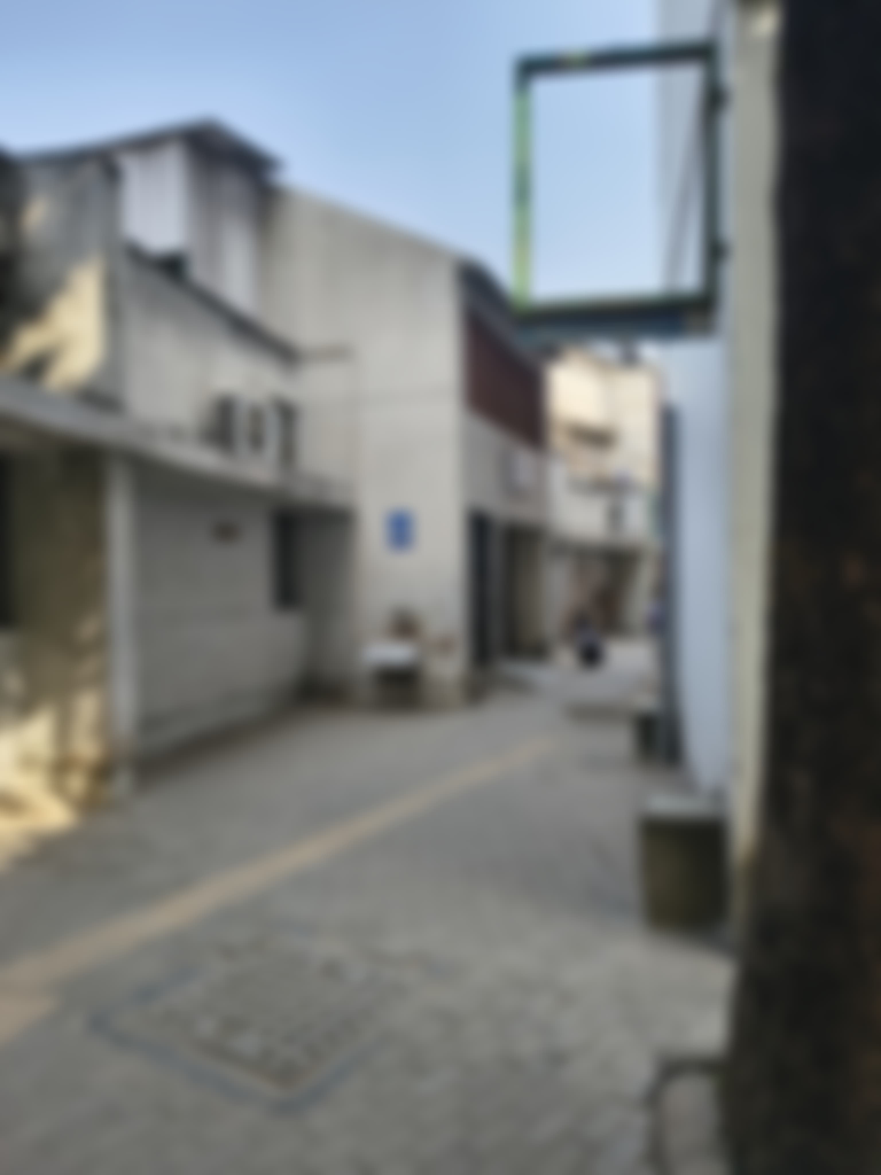 Shaheed Bhagat Singh College Campus photo (16) by DIVYA GEHLOT