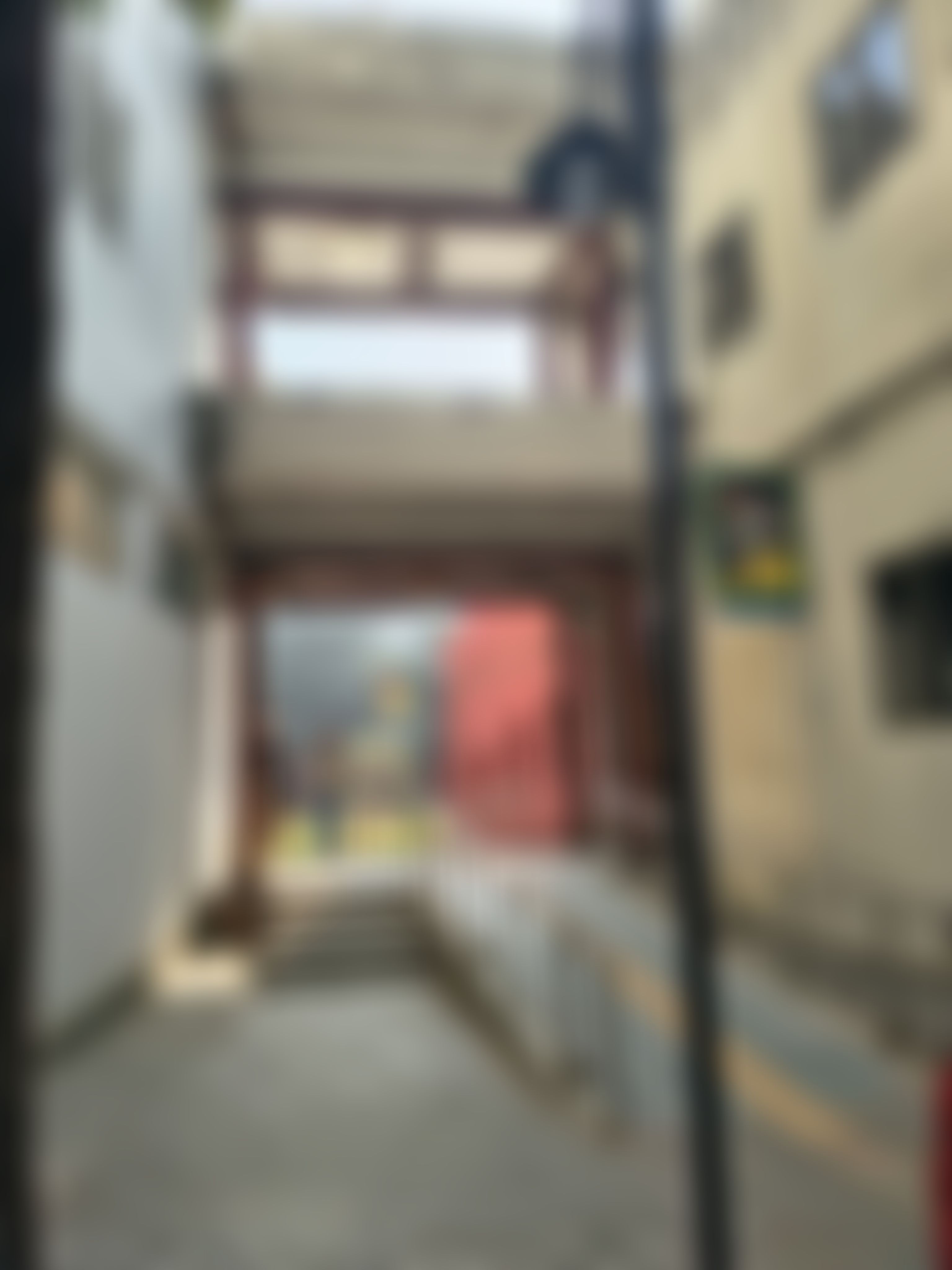 Shaheed Bhagat Singh College Campus photo (17) by DIVYA GEHLOT