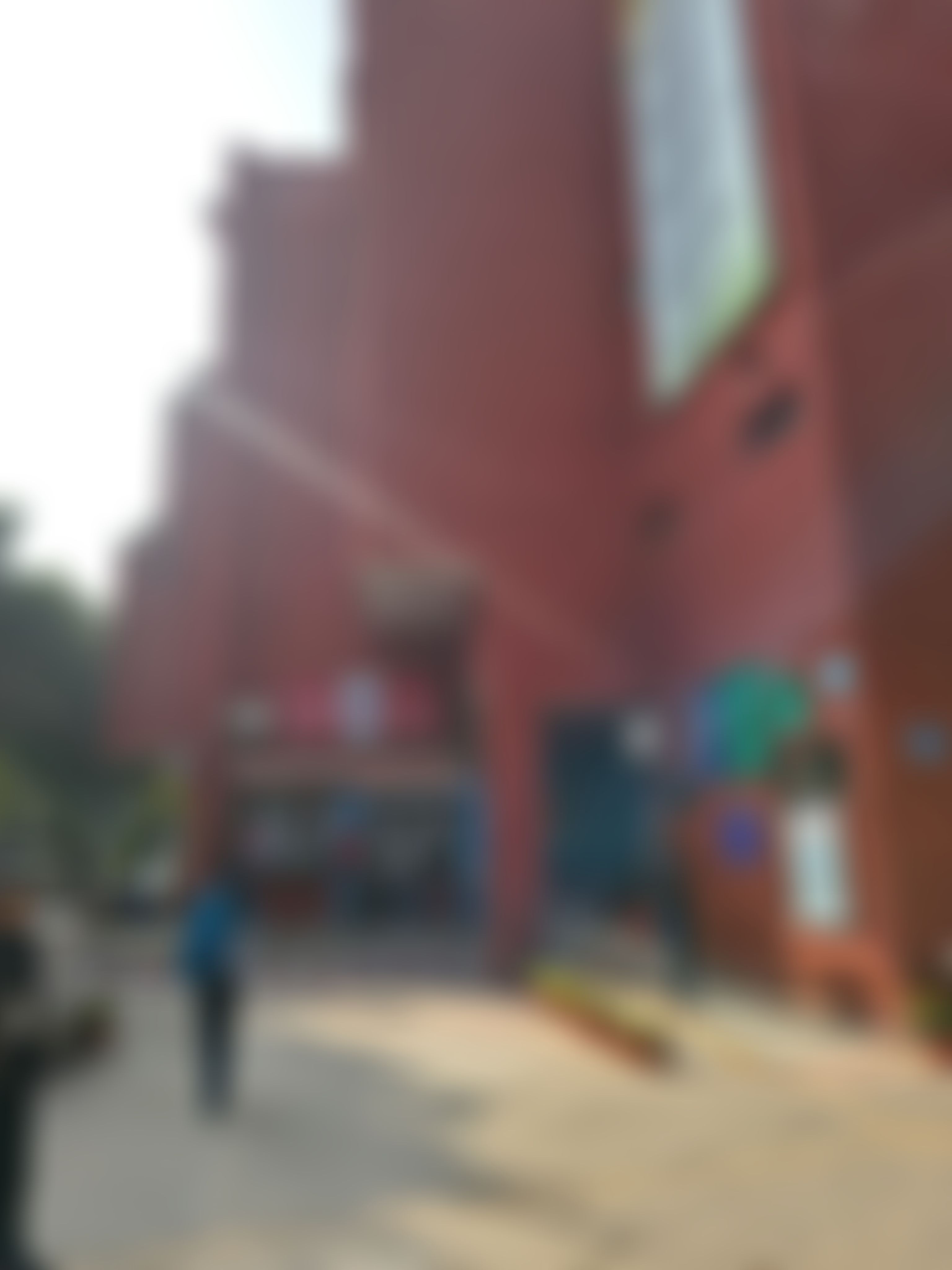 Shaheed Bhagat Singh College Campus photo (18) by DIVYA GEHLOT