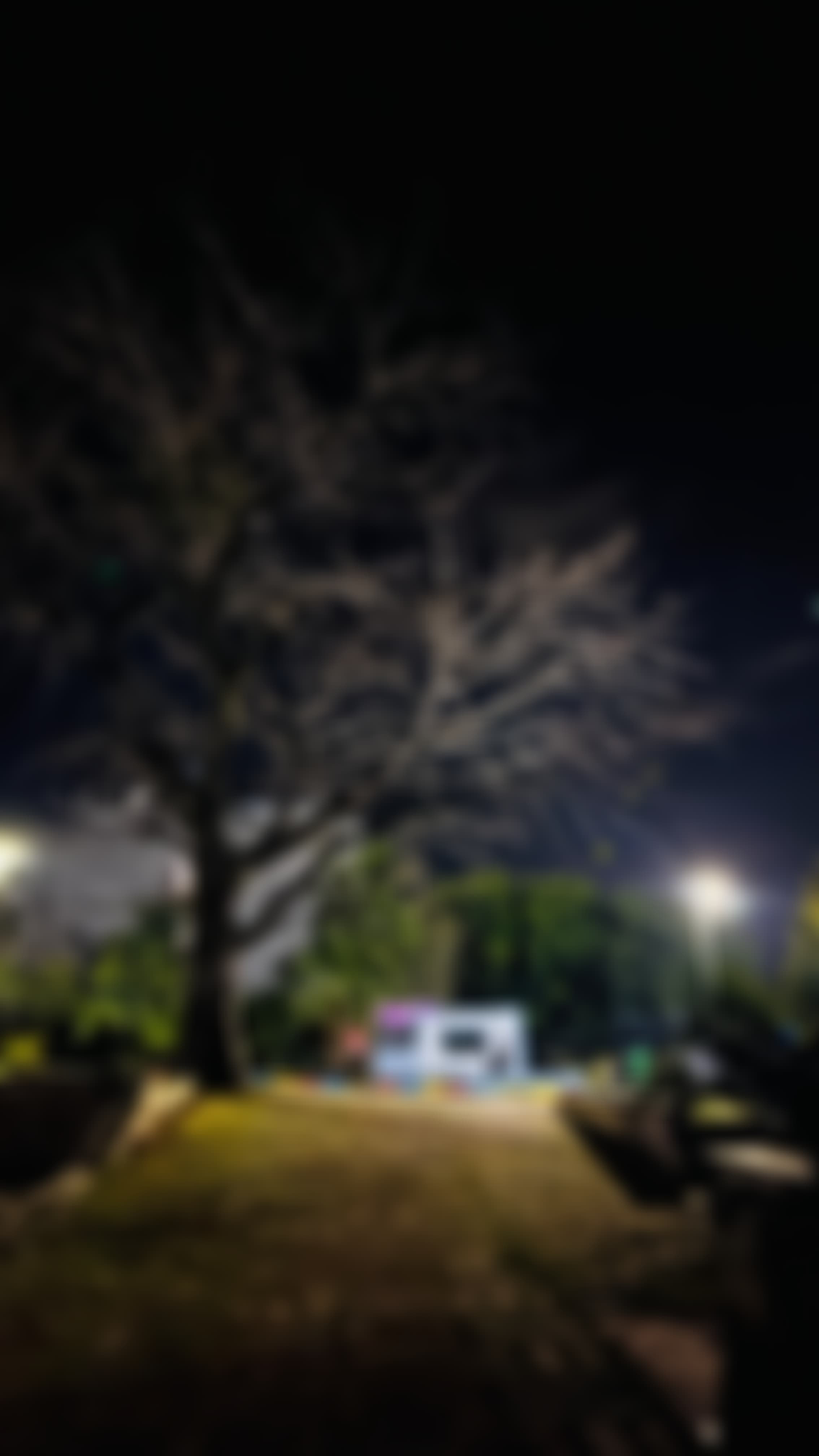UPES Campus photo (5) by Ayushma Dubey