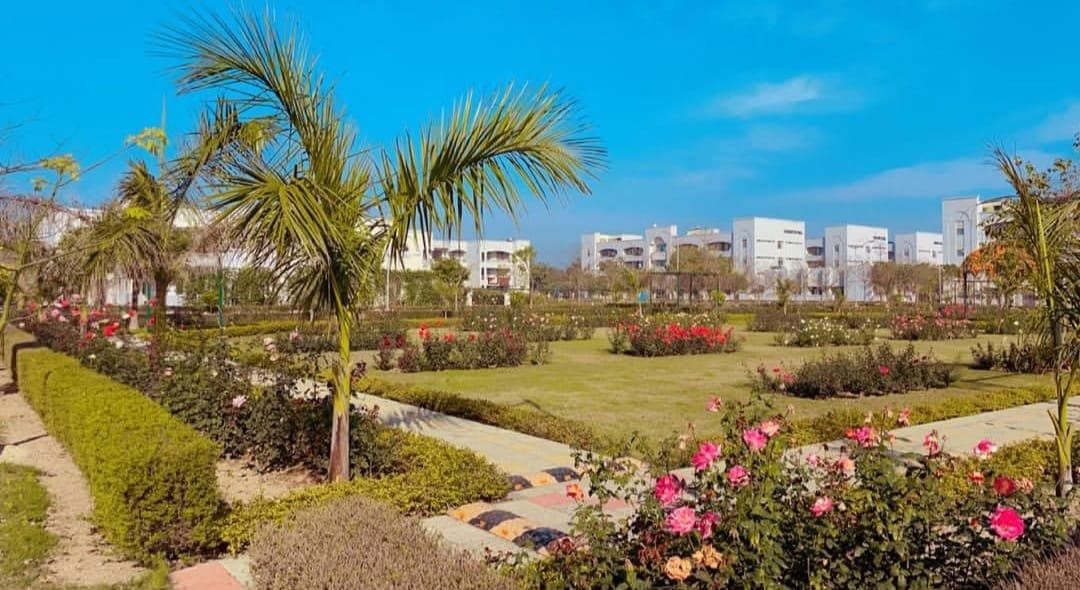 Rajiv Gandhi National University of Law Patiala Infrastructure & Academic Building photo (4) by karishma singh