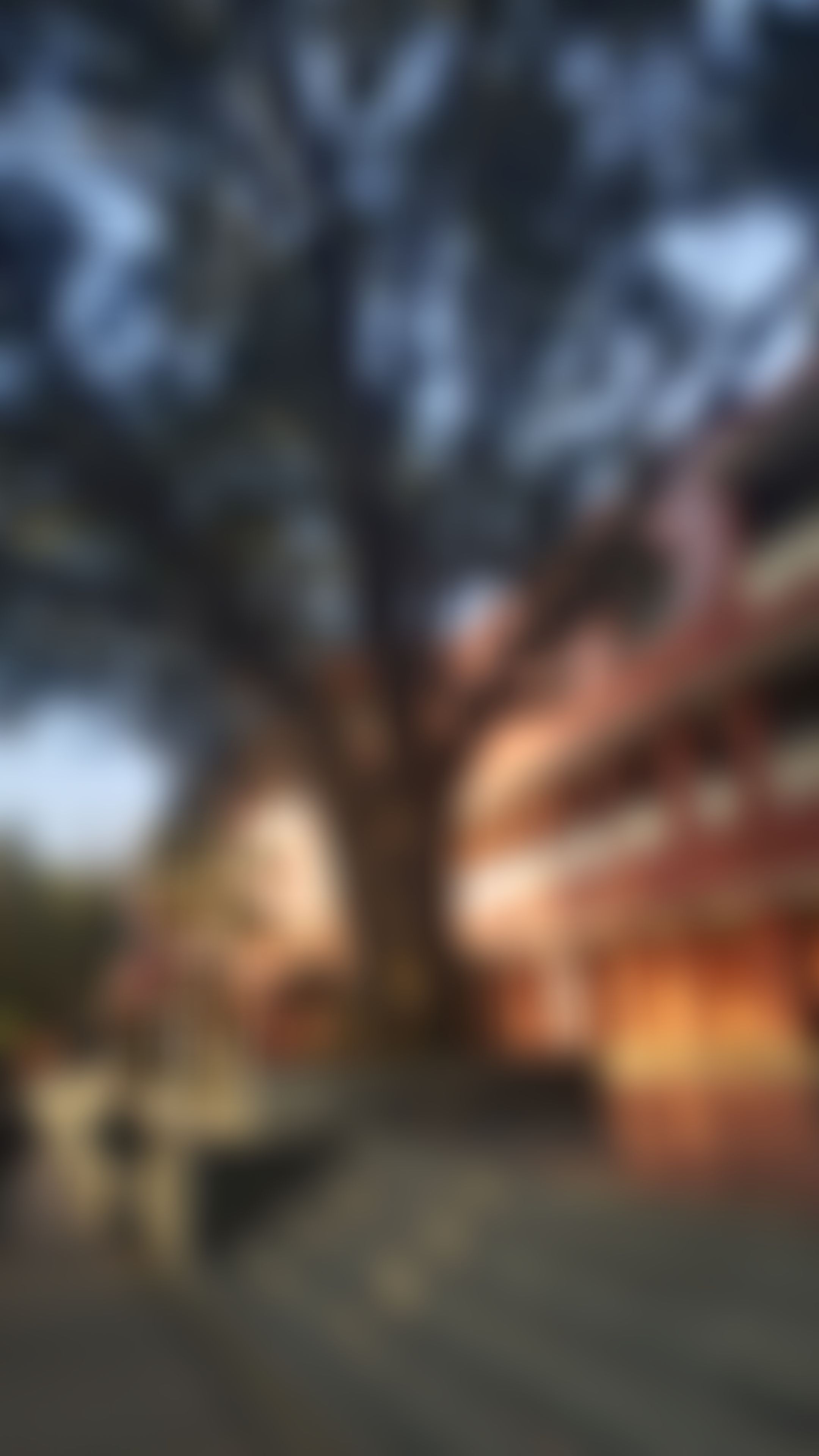Hansraj College Infrastructure & Academic Building photo (8) by HARSHIT MANCHANDA