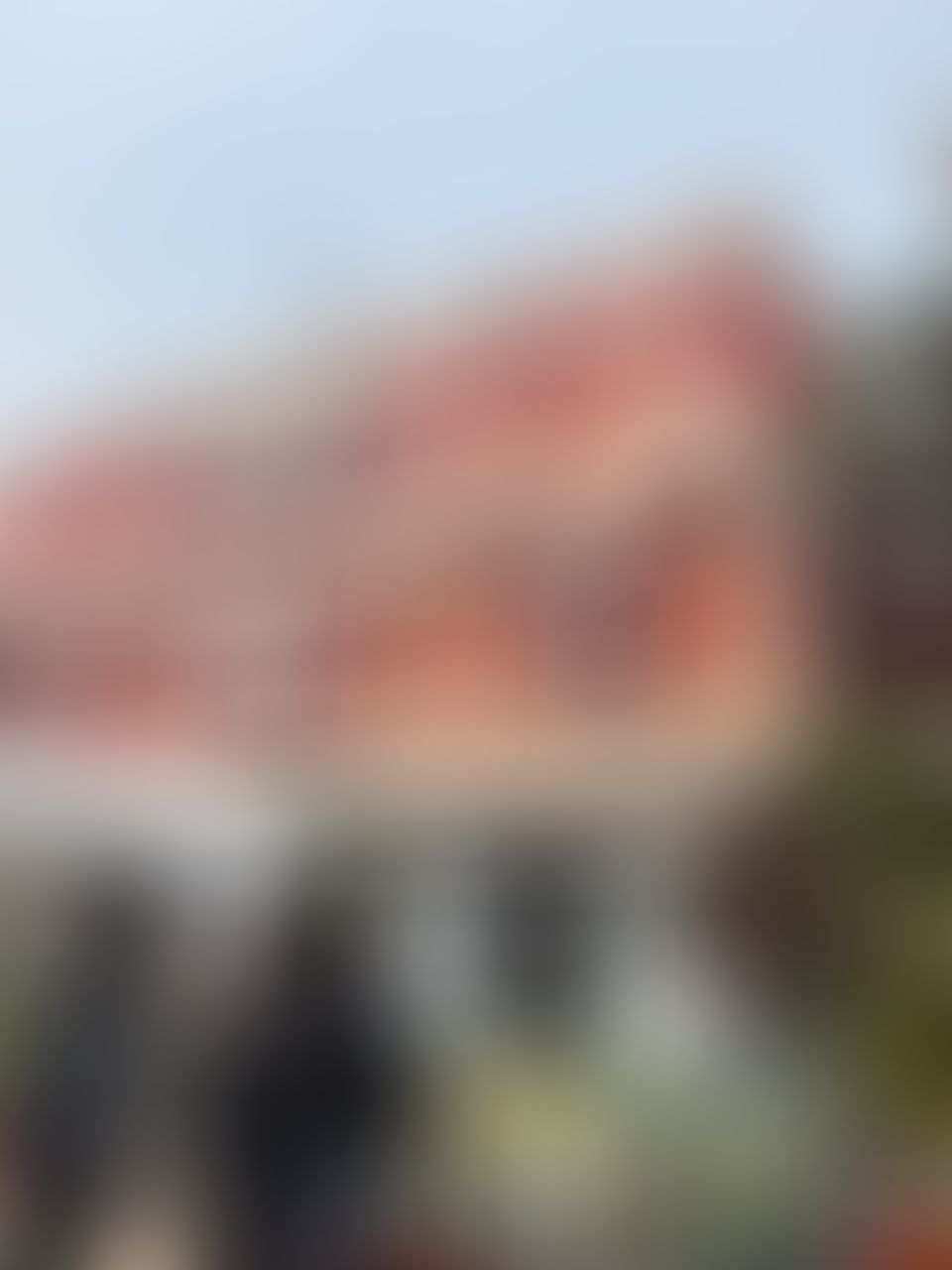 Sri Venkateswara Campus photo (10) by ASHWIN SINGLA