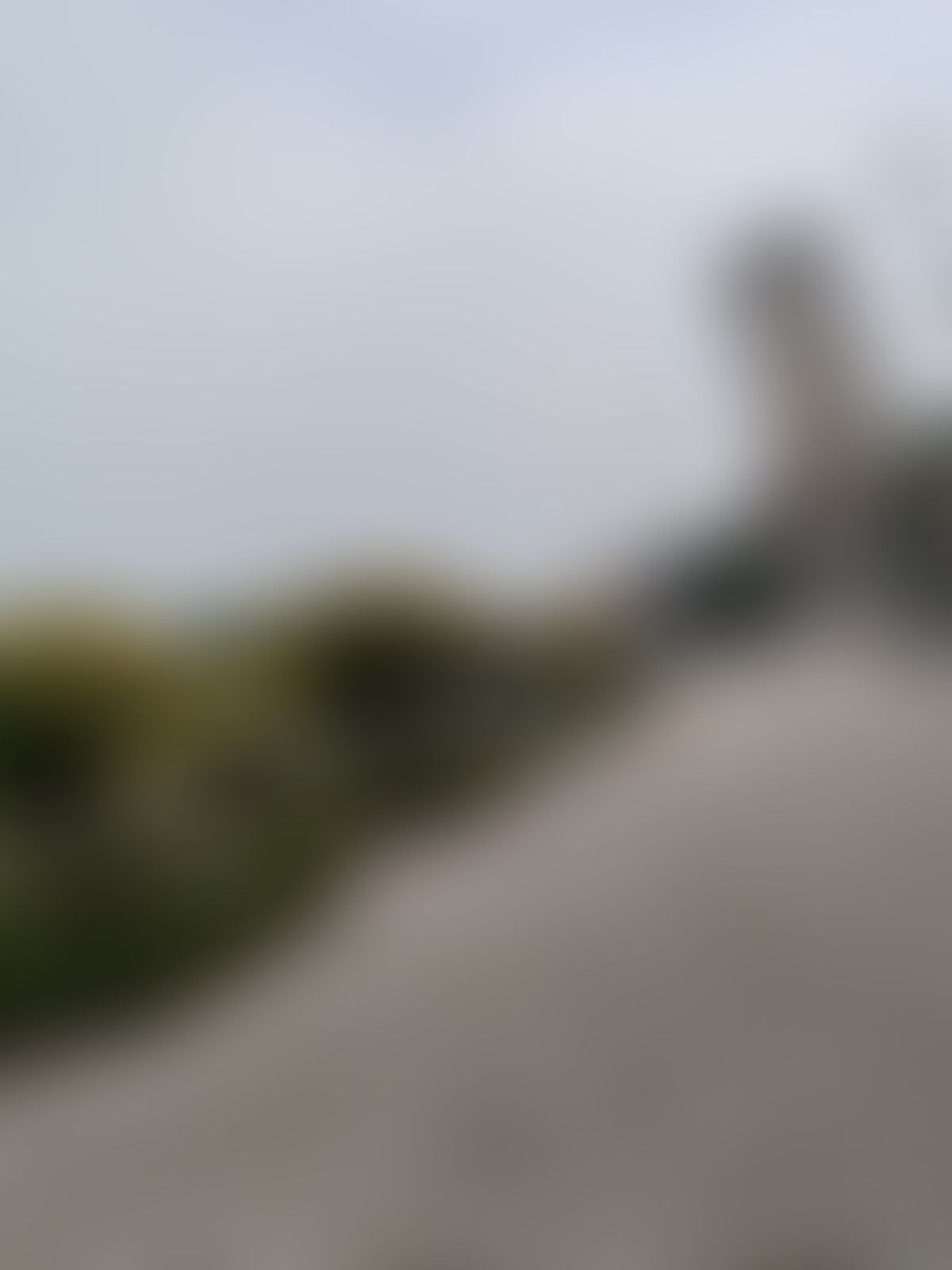 JIIT Noida Campus photo (5) by RANVEER PRATAP SINGH