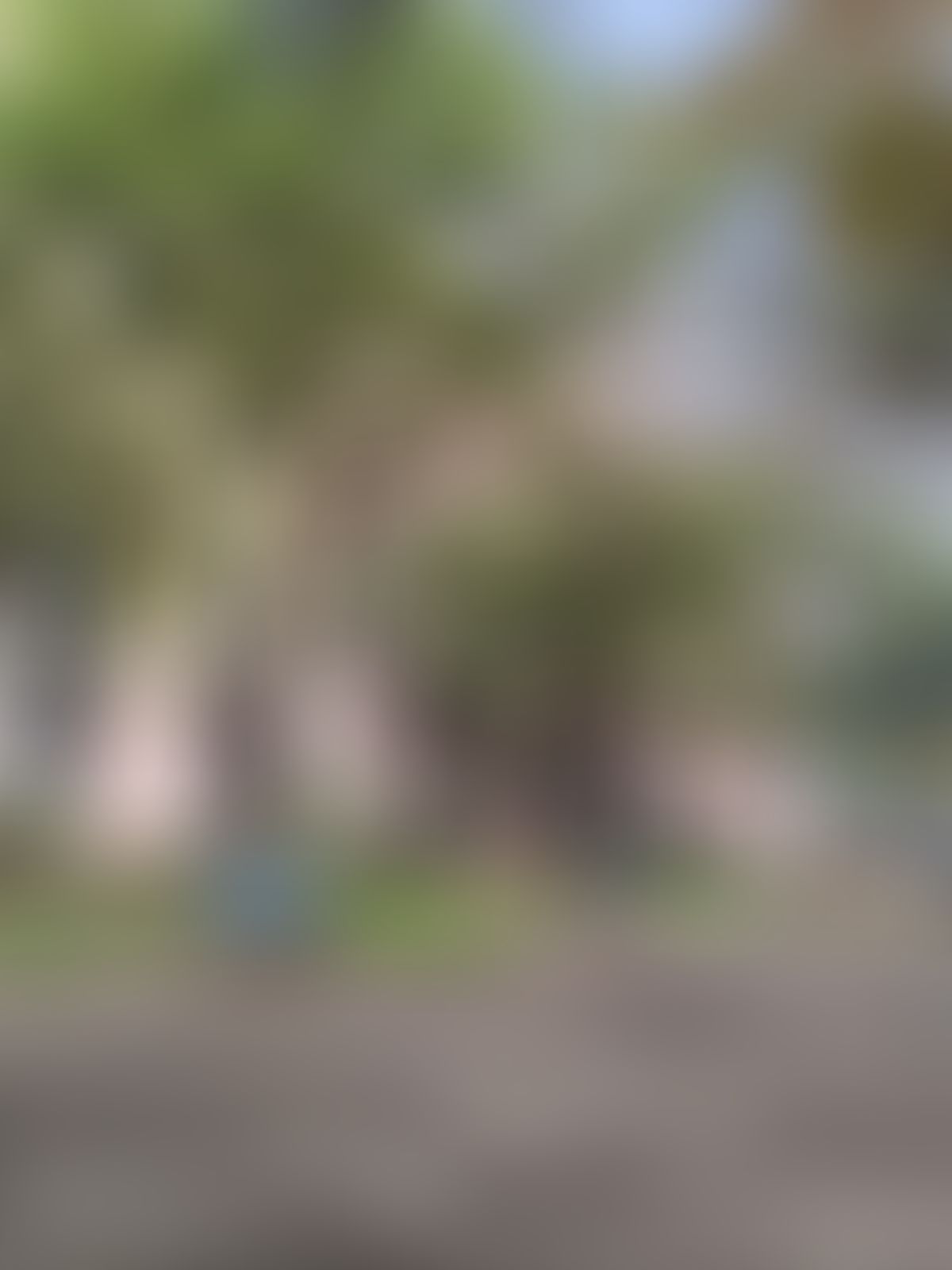 JIIT Noida Campus photo (4) by RANVEER PRATAP SINGH