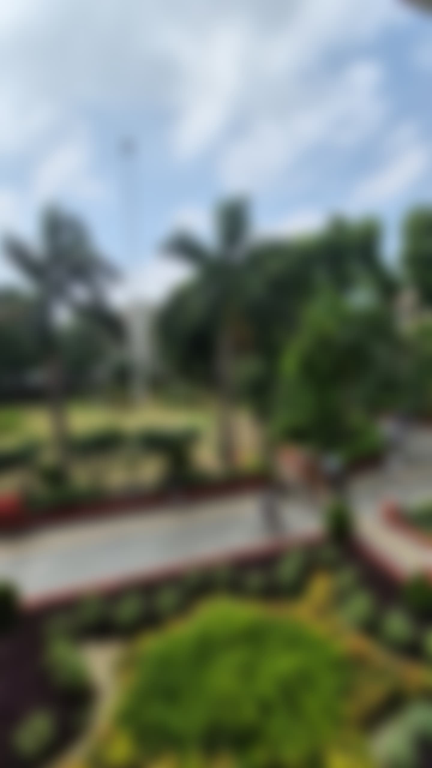 Hansraj College Campus photo (4) by ARYAN SHUKLA