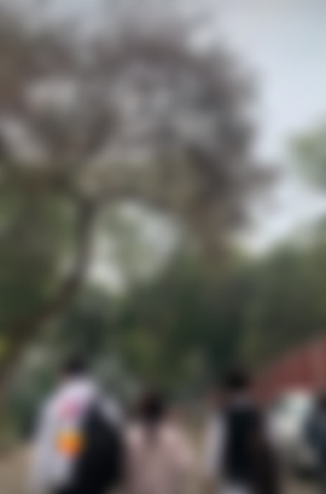 Shaheed Bhagat Singh College Campus photo (4) by Aayush Baluni