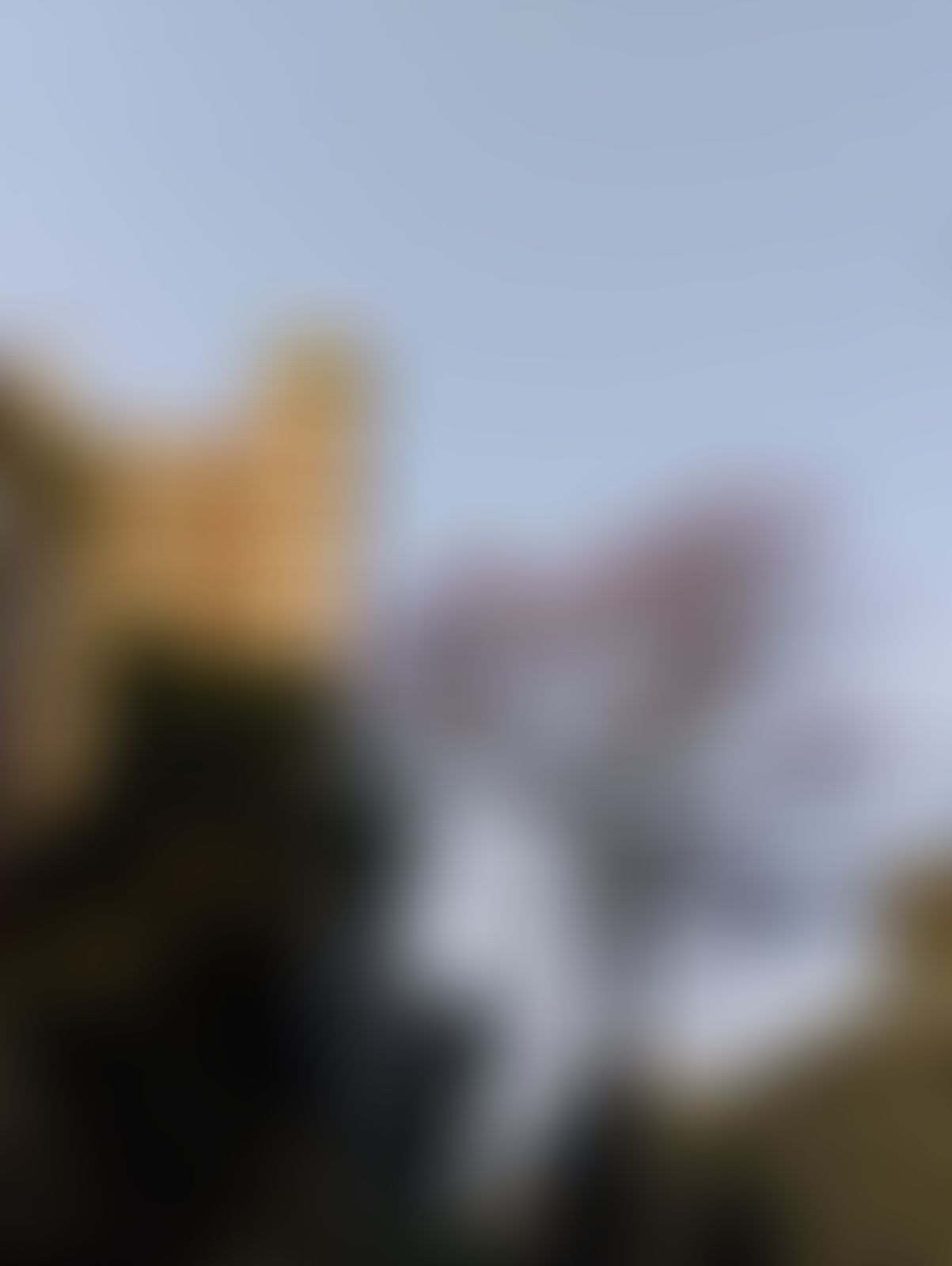 IIT BHU Campus photo (17) by Adarsh Singh