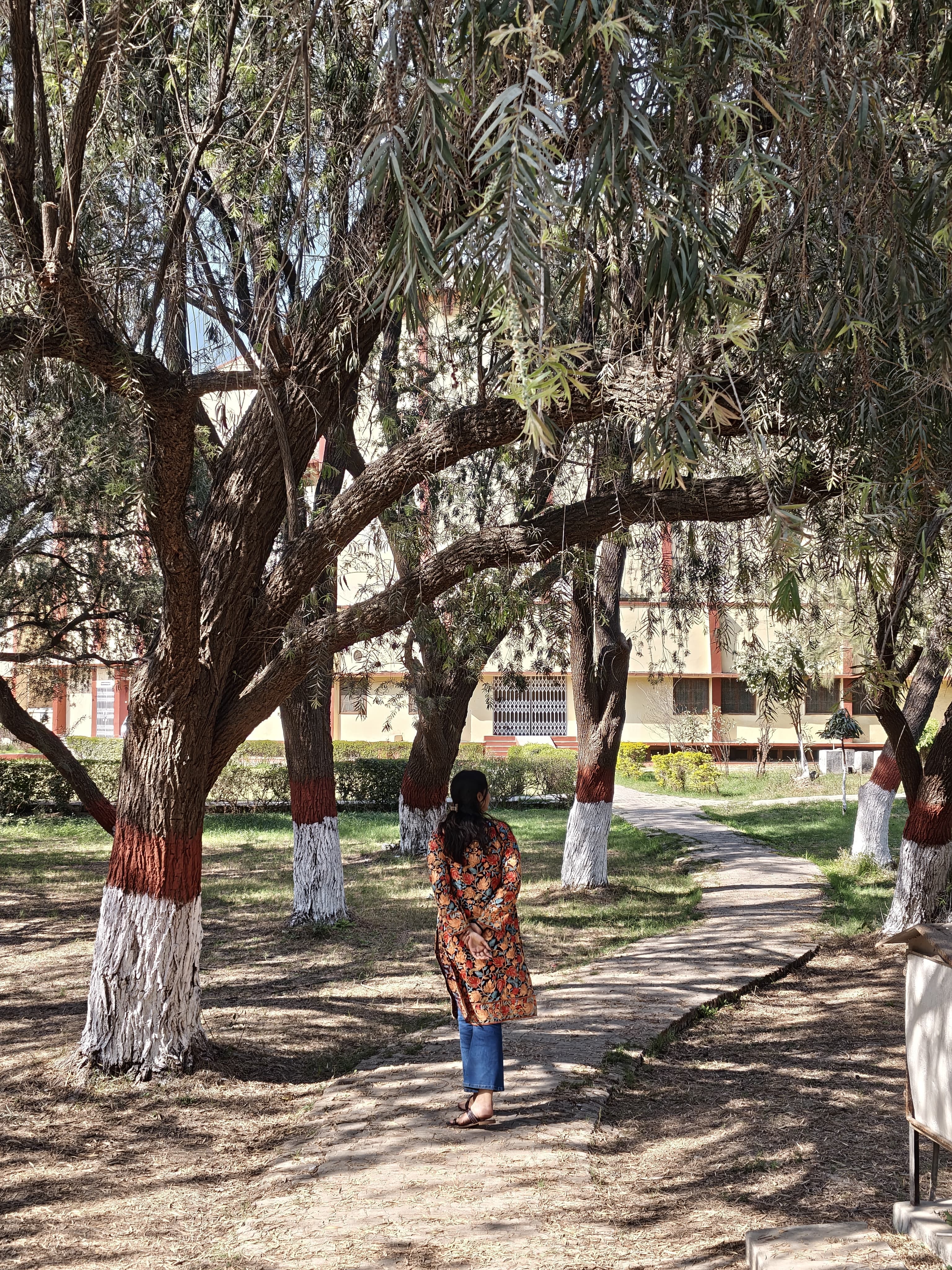 BHU Infrastructure & Academic Building photo (3) by Rishika Dwivedi