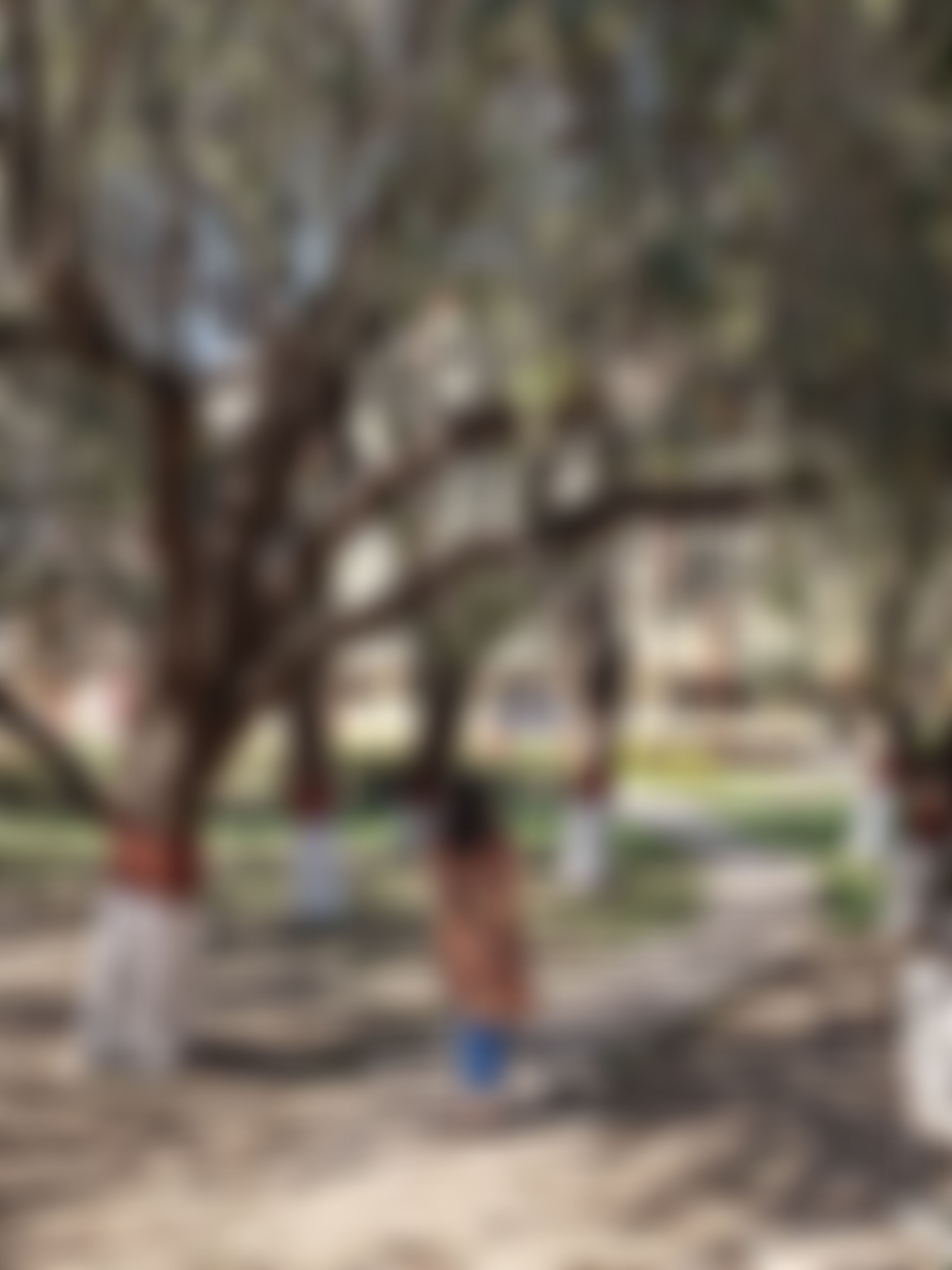 BHU Infrastructure & Academic Building photo (3) by Rishika Dwivedi