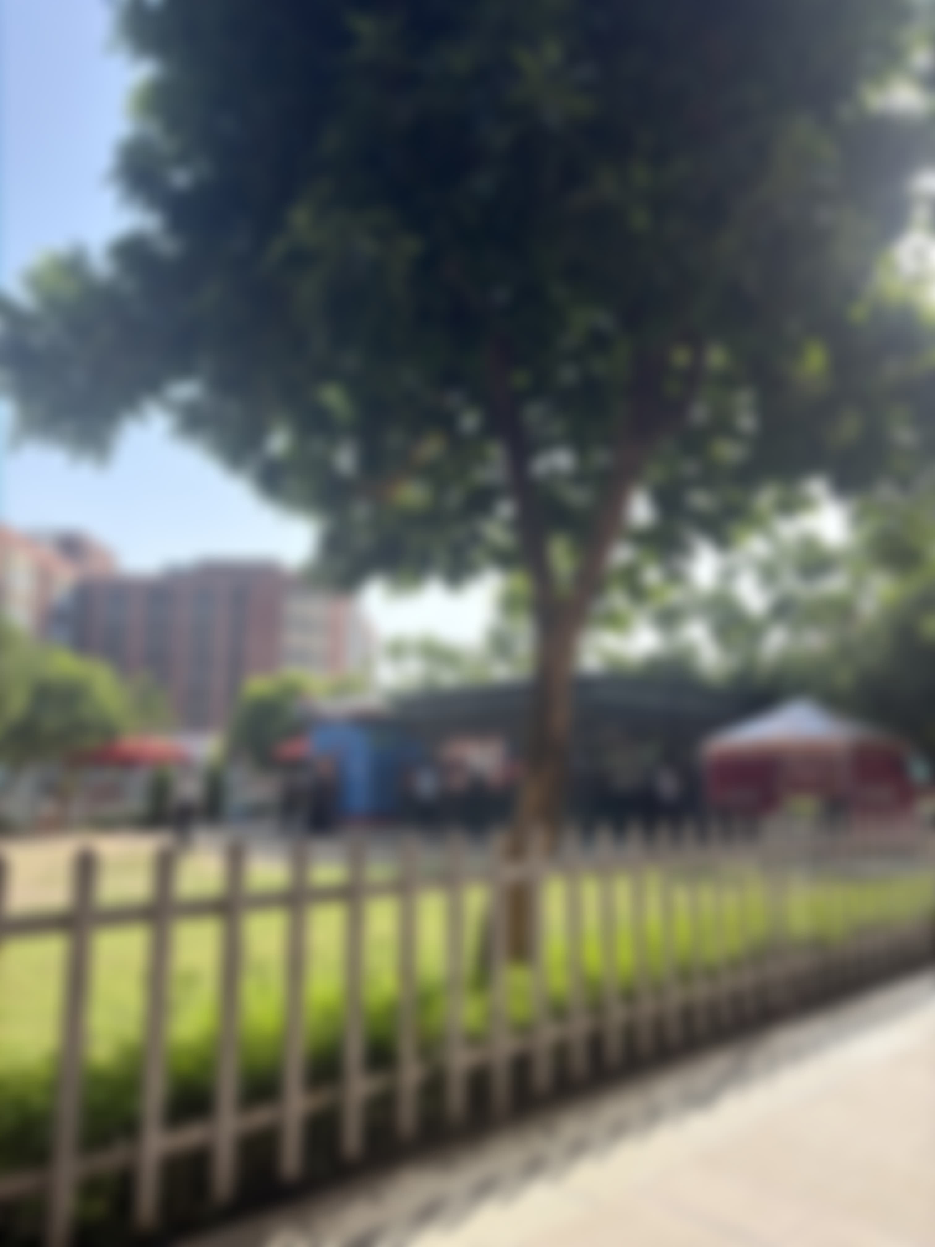 UPES Campus photo (2) by MAITRIYA PUNDIR