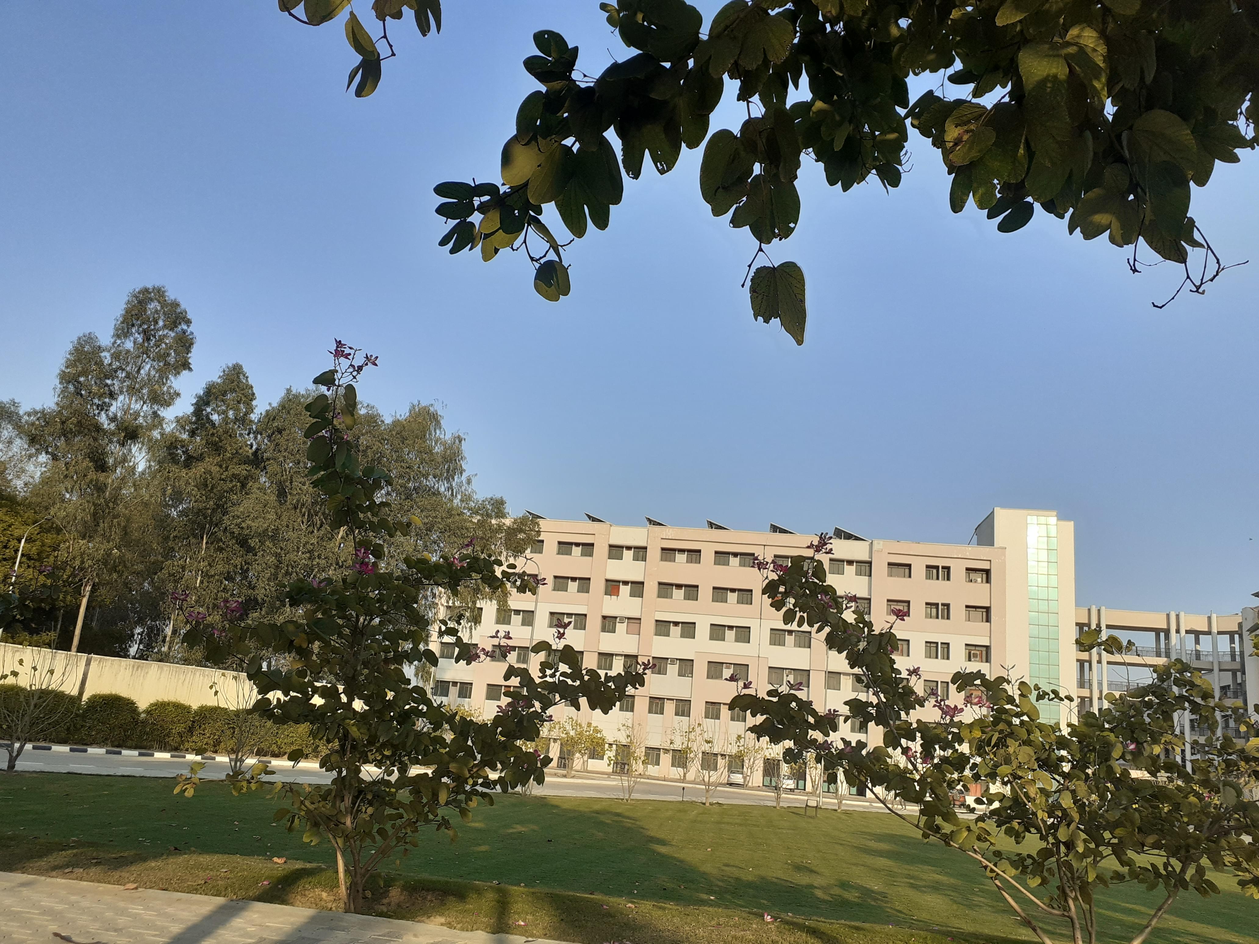 Teerthanker Mahaveer College of Computing Sciences and Information Technology Moradabad General photo (7) by DANISH PASHA