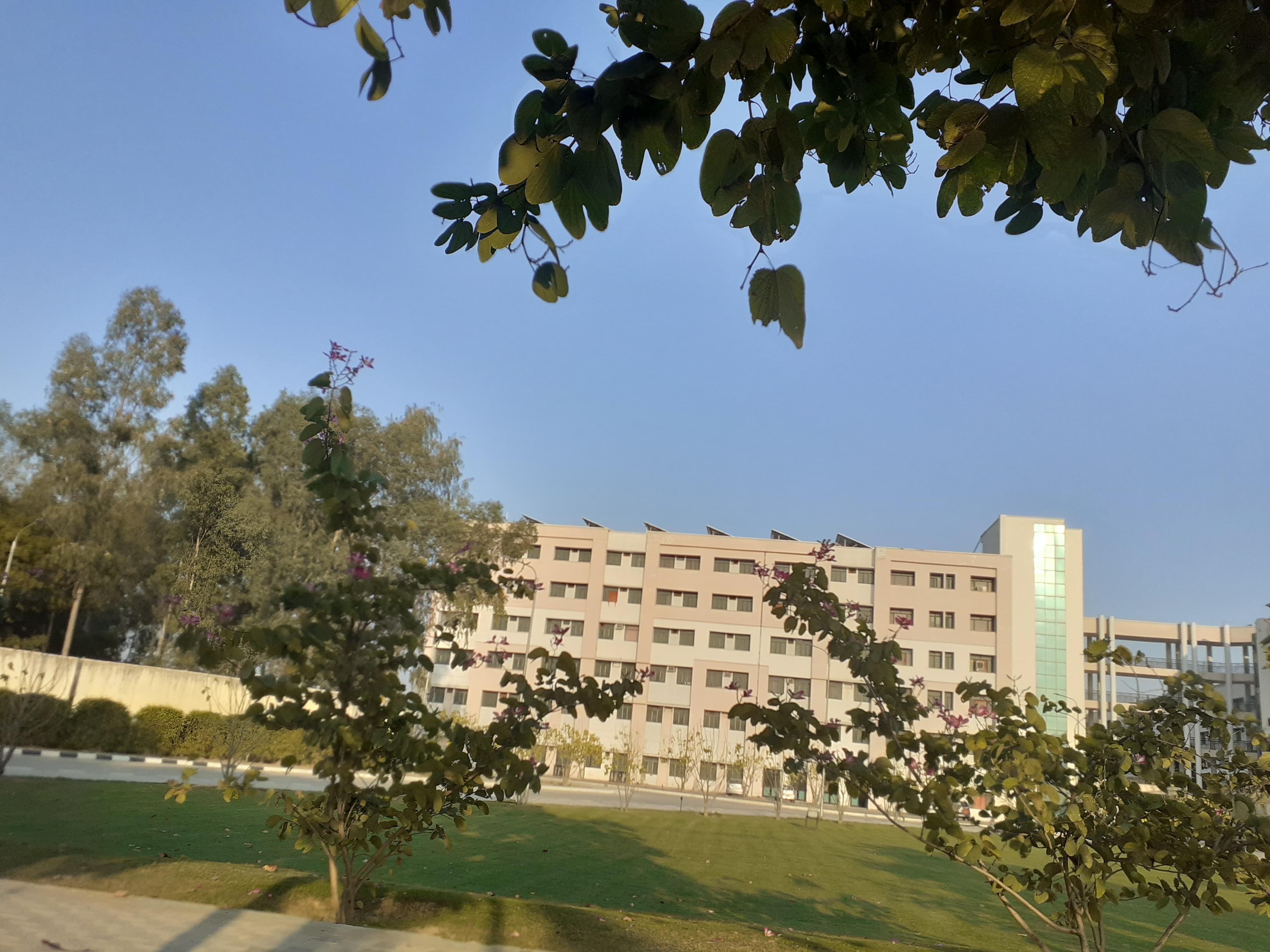 Teerthanker Mahaveer College of Computing Sciences and Information Technology Moradabad General photo (6) by DANISH PASHA