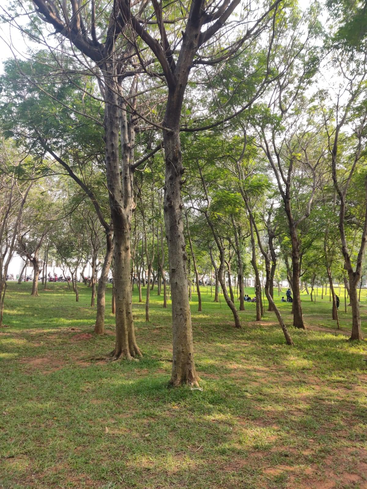 GITAM School of Technology Visakhapatnam General photo (9) by S Jayanth