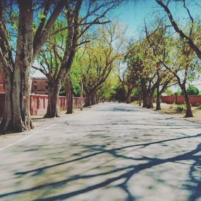 DEI General photo (19) by Tanmay Sarkar