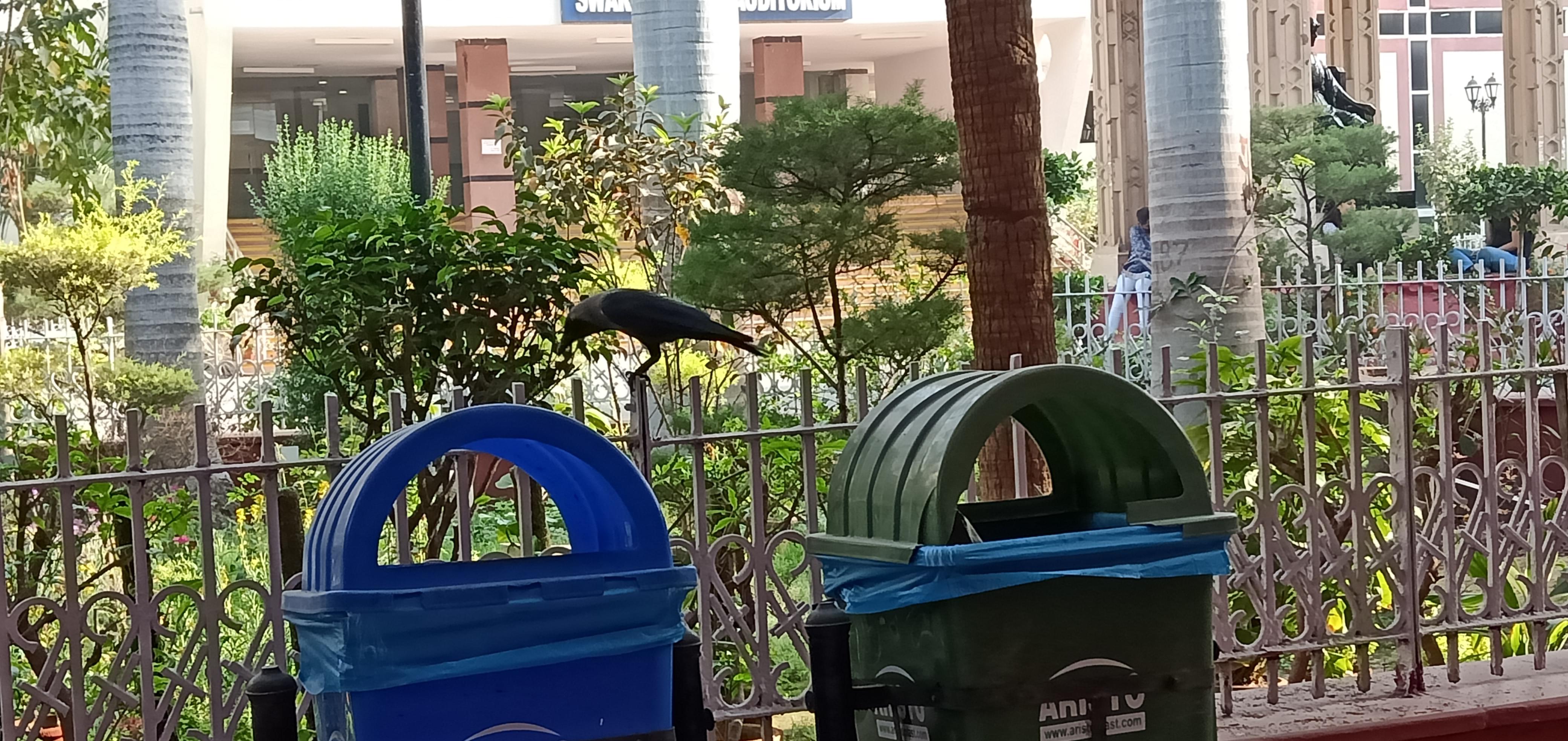 Lady Hardinge Medical College Campus photo (15) by nisha jha