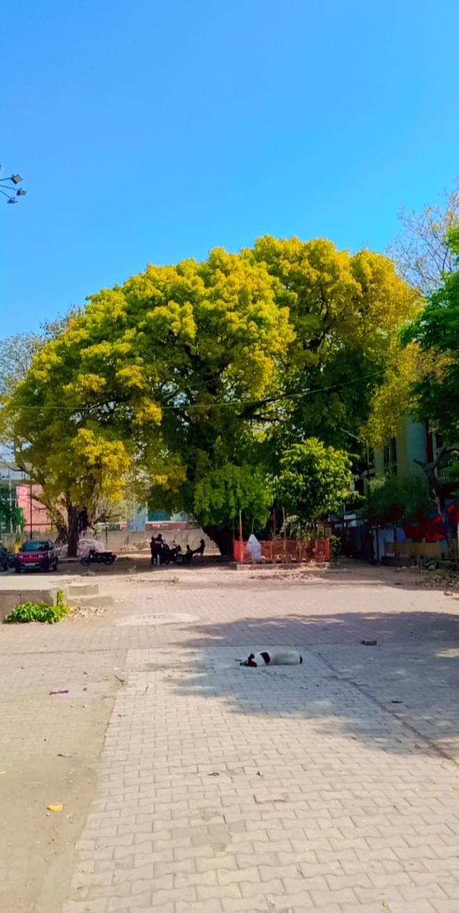 Lady Hardinge Medical College Campus photo (14) by nisha jha