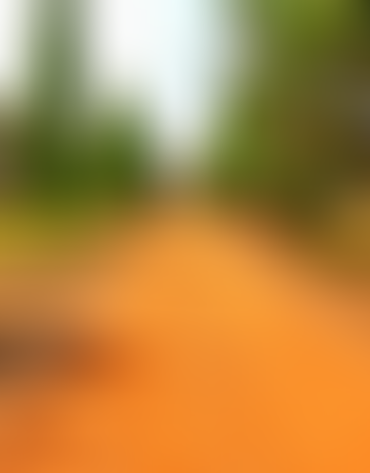 Camellia Institute of Engineering and Technology Bardhaman General photo (15) by Debarun Paul