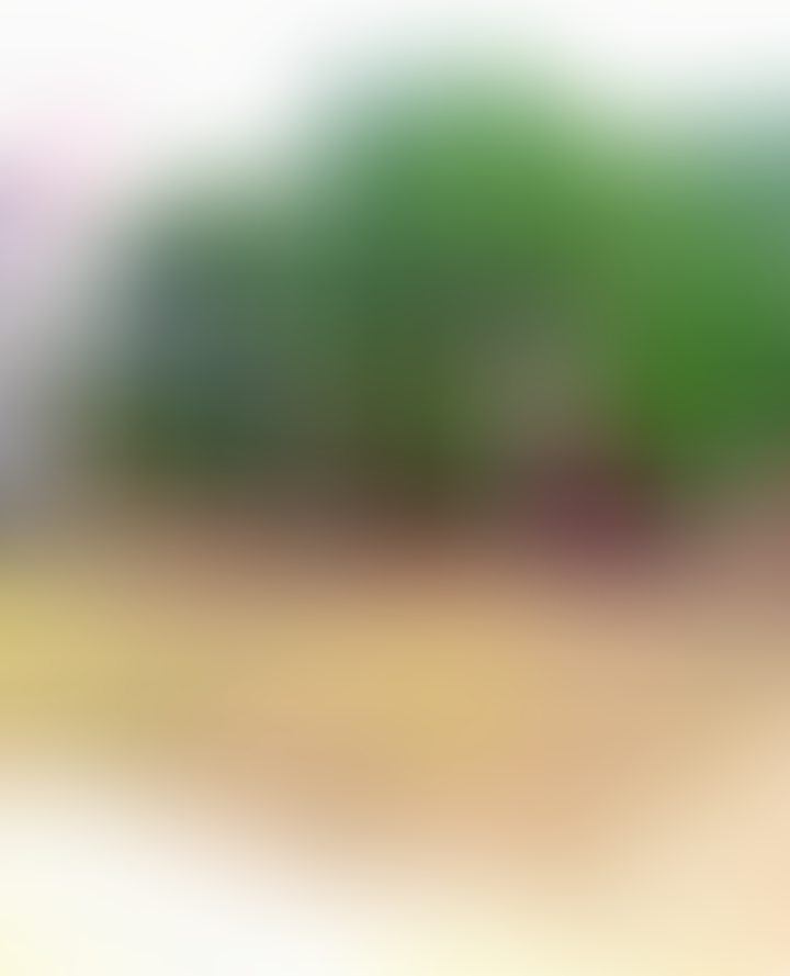 Camellia Institute of Engineering and Technology Bardhaman General photo (14) by Debarun Paul