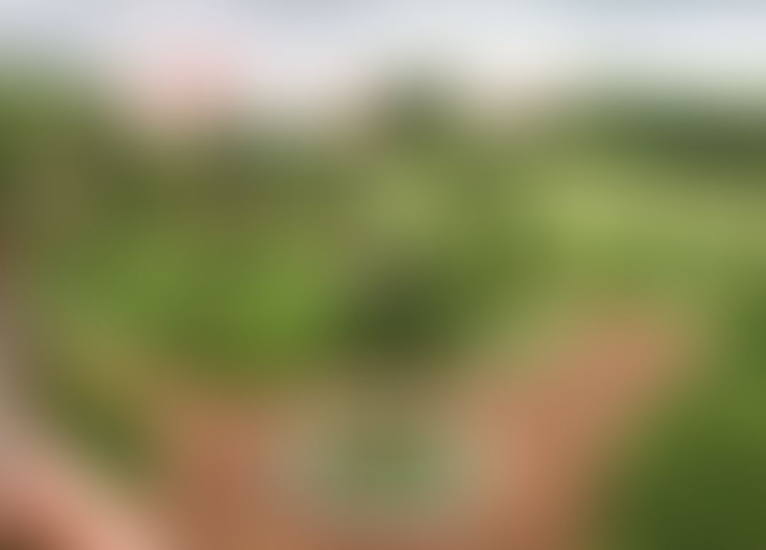 Camellia Institute of Engineering and Technology Bardhaman General photo (7) by Ishwer kumar
