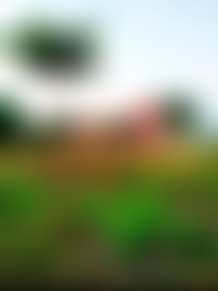Camellia Institute of Engineering and Technology Bardhaman General photo (10) by Ishwer kumar