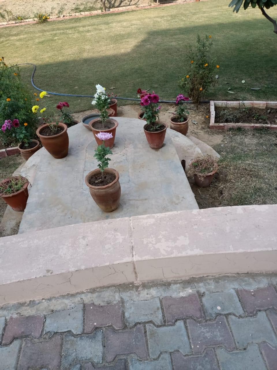 BK Birla Institute of Engineering and Technology Pilani General photo (14) by SINGH BHUPANDER