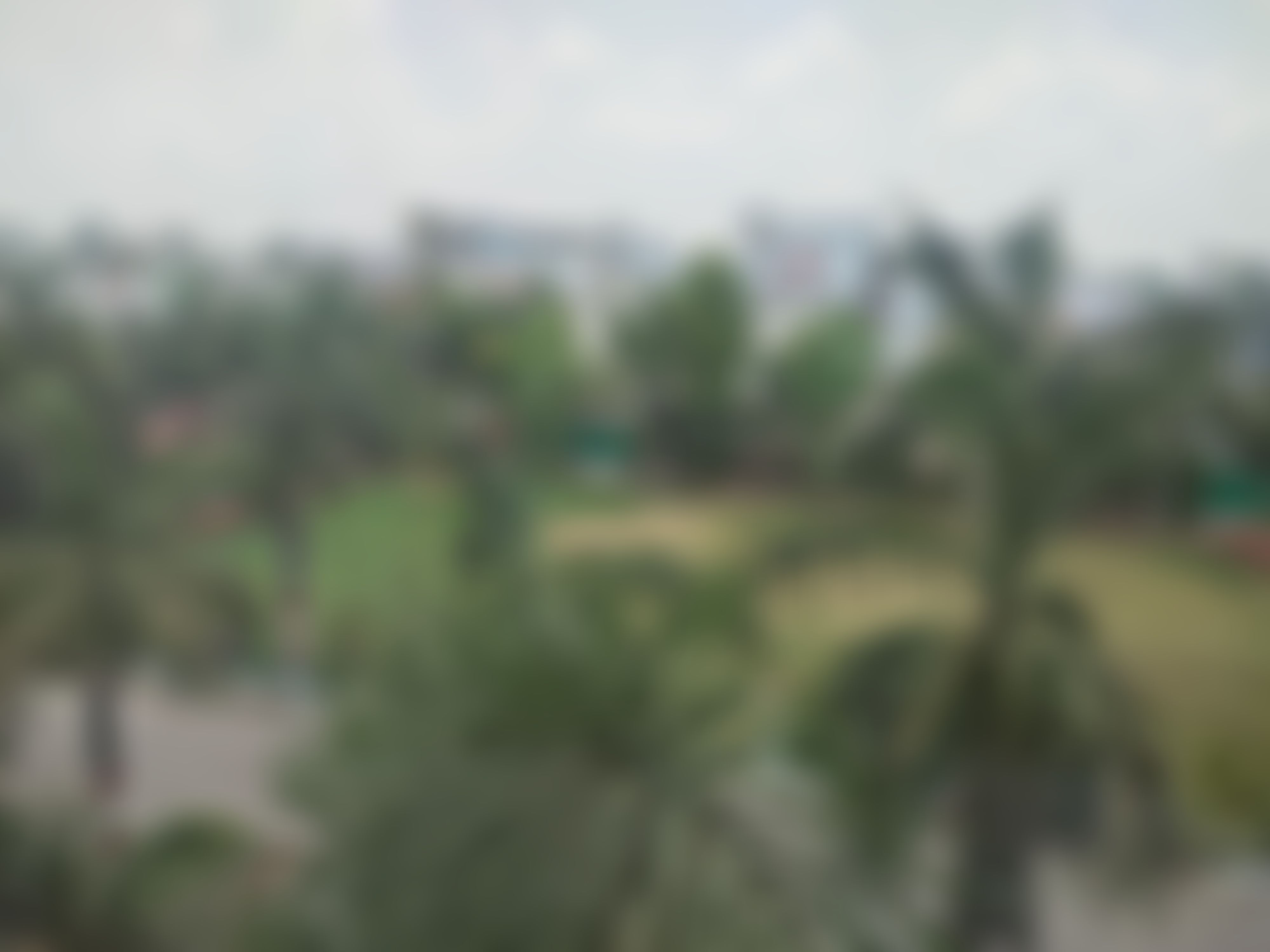 College of Innovative Management & Sciences Lucknow Infrastructure & Academic Building photo (11) by Vikas Pandey