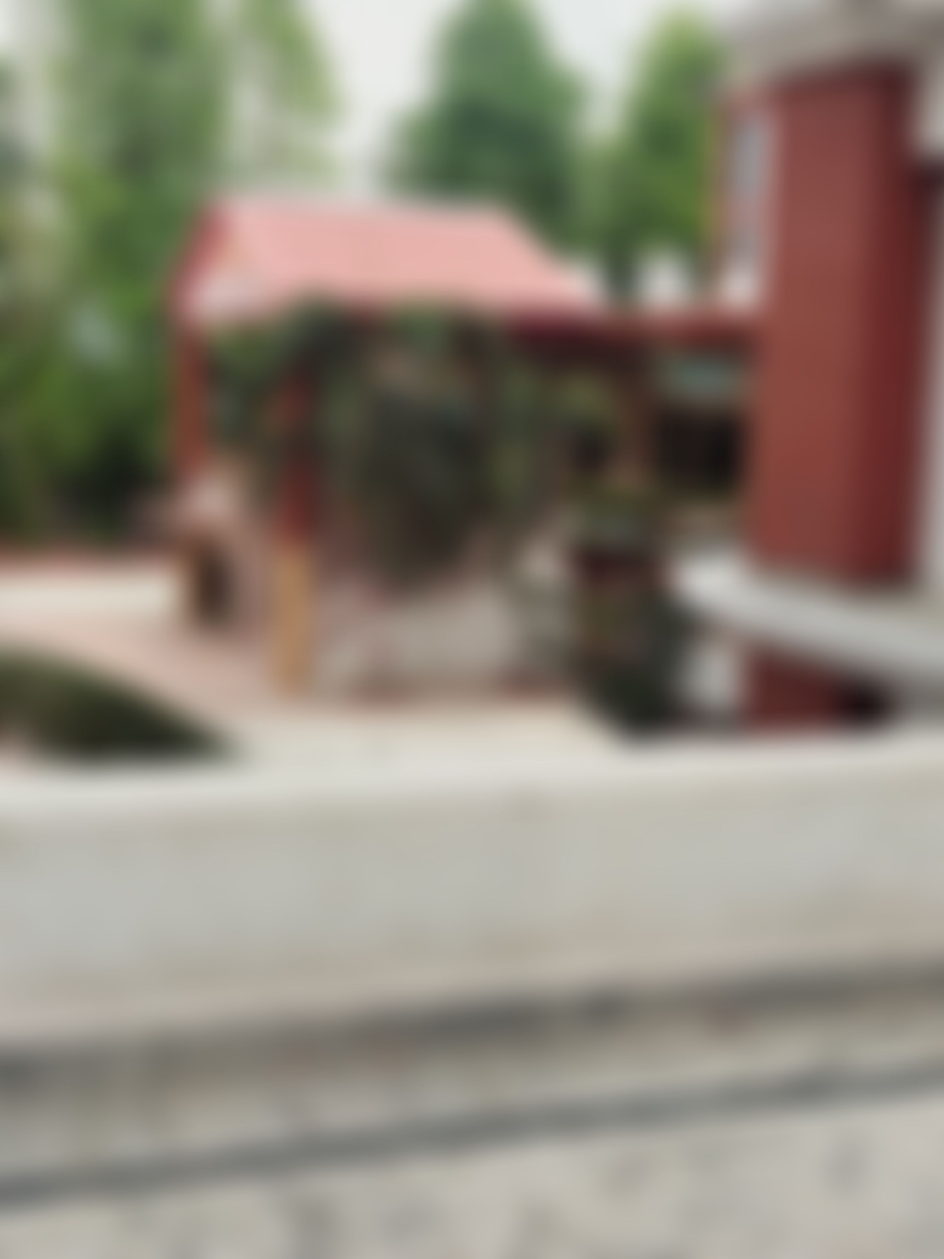 College of Innovative Management & Sciences Lucknow Campus photo (12) by Vikas Pandey
