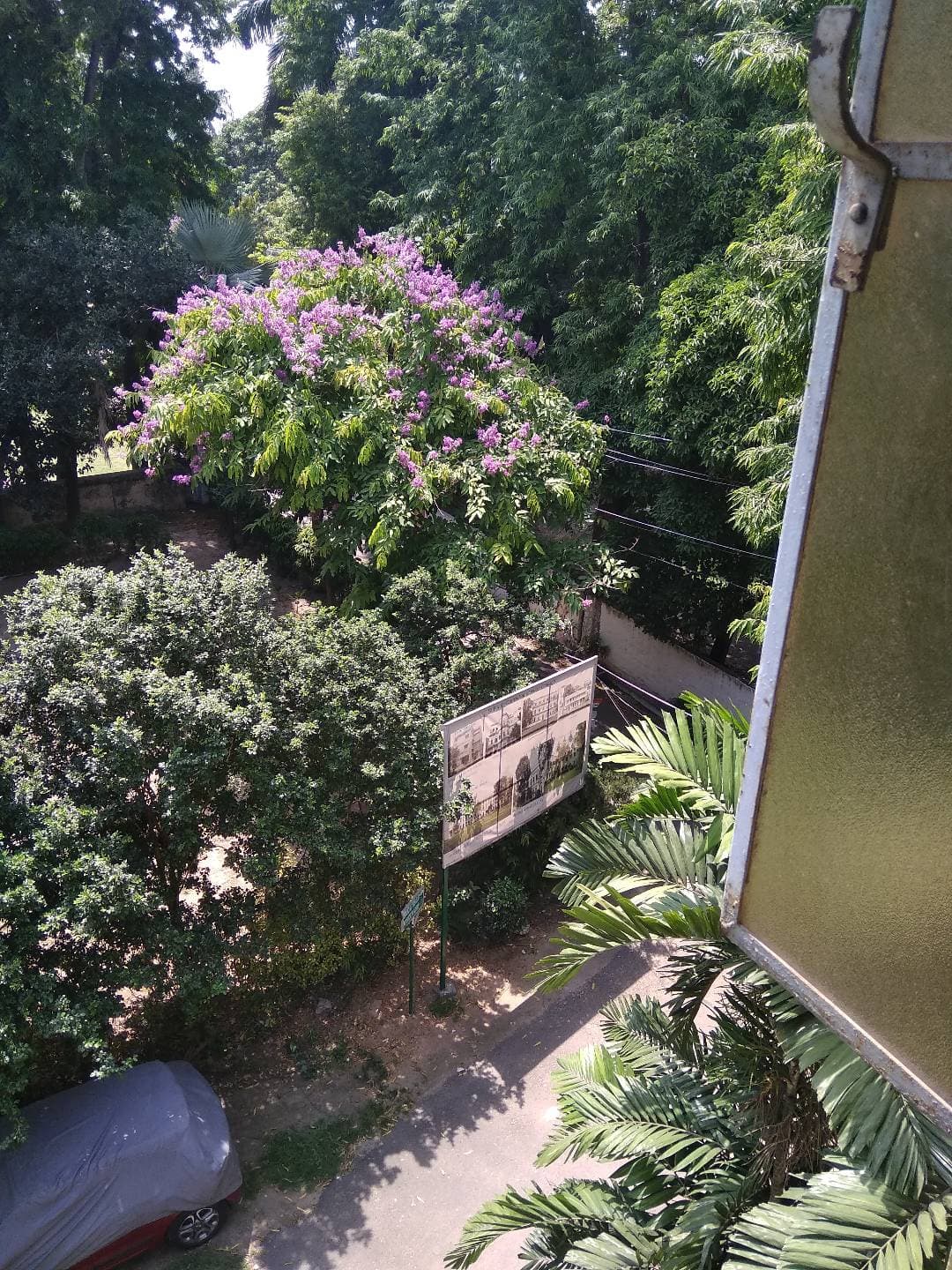 St Paul's Cathedral Mission College Kolkata Campus photo (10) by Arghya Chatterjee