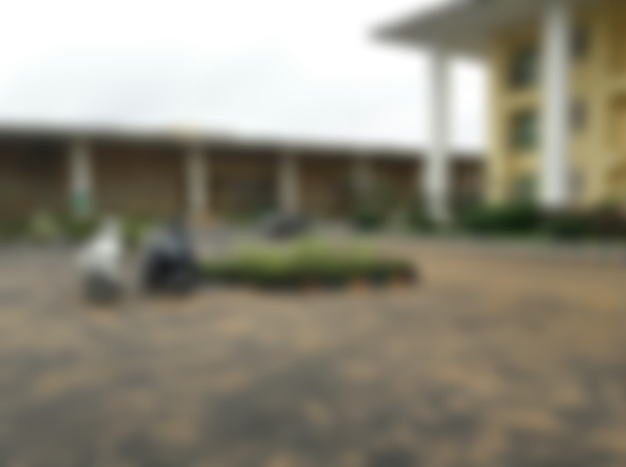 Birla Global University Bhubaneswar General photo (8) by Shantunu Kumar Naik