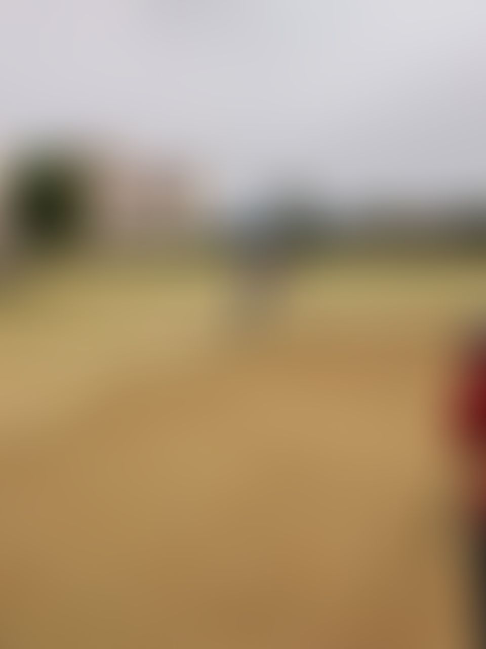 Global Institute of Technology and Management Gurgaon Extra-Curricular photo (9) by Amit Nautiyal