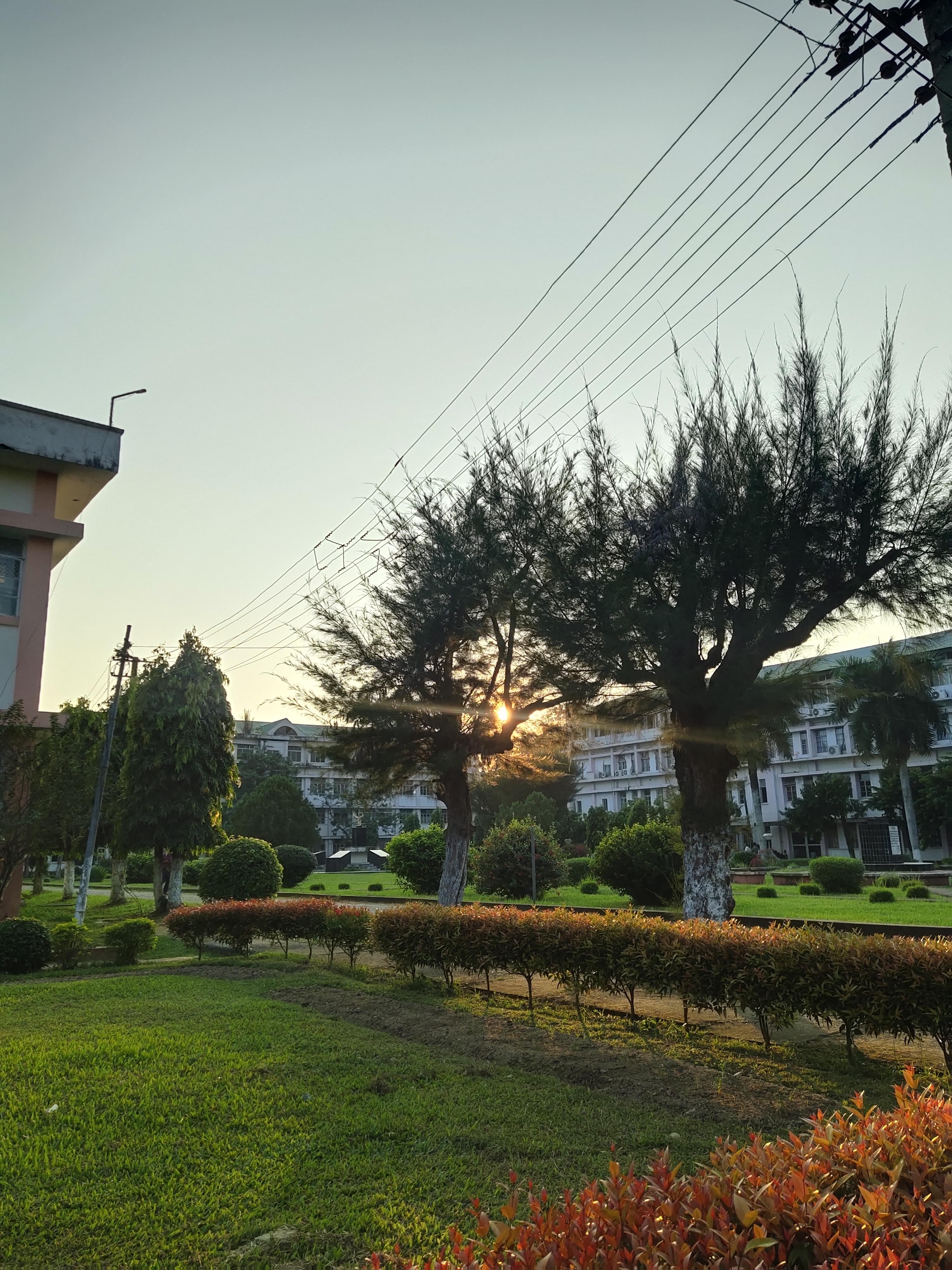 Assam Agricultural University Jorhat Campus photo (15) by ANISHA KALITA