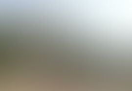 BSA College of Engineering and Technology Mathura Extra-Curricular photo (4) by Shivam Dixit