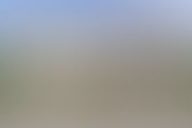 BSA College of Engineering and Technology Mathura Campus photo (3) by Shivam Dixit