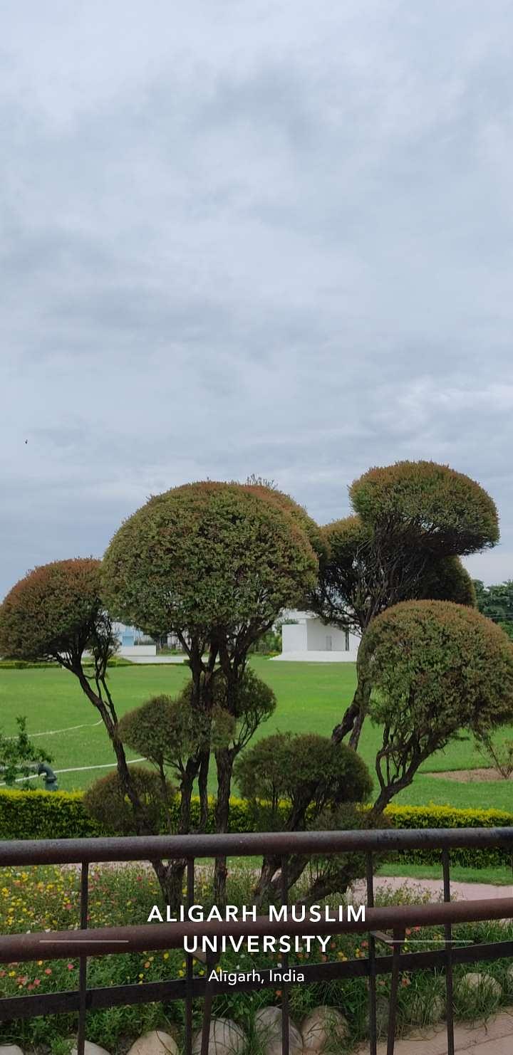 Zakir Hussain College of Engineering and Technology Aligarh Campus photo (10) by Sahil Farhan