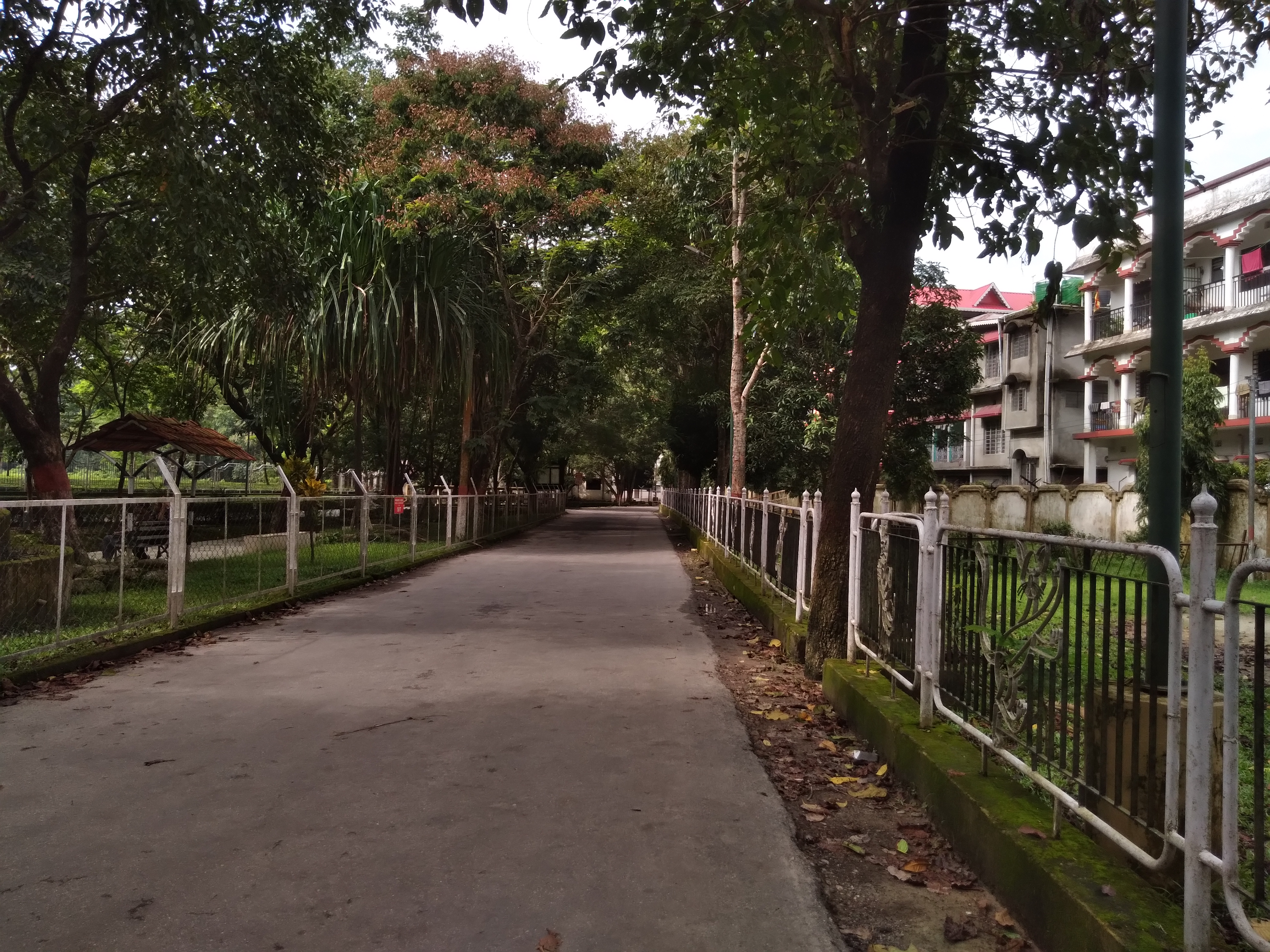 Siliguri Institute of Technology Darjeeling Campus photo (14) by Aditya Singh