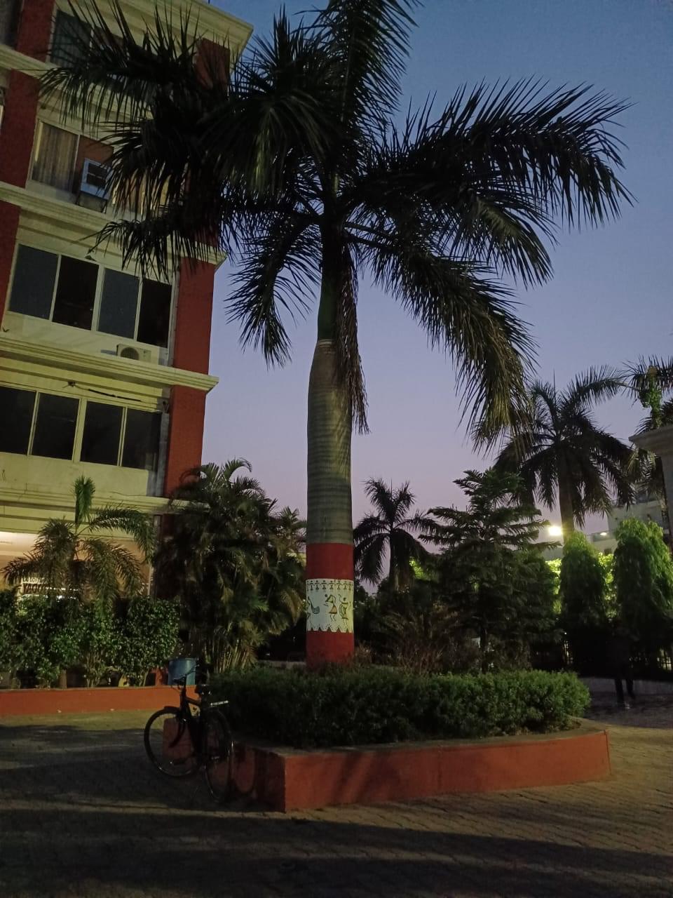 College of Innovative Management & Sciences Lucknow General photo 4