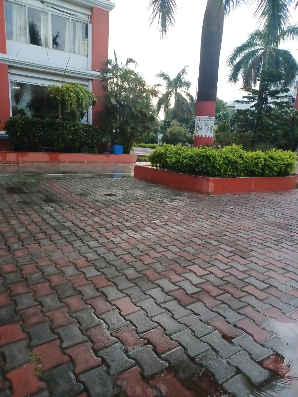 College of Innovative Management & Sciences Lucknow General photo 1