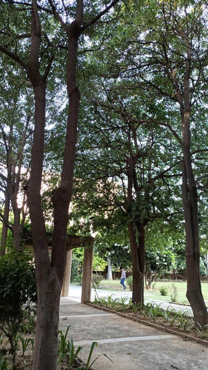 IILM University Gurgaon Campus photo (4) by Adityavikram Surana