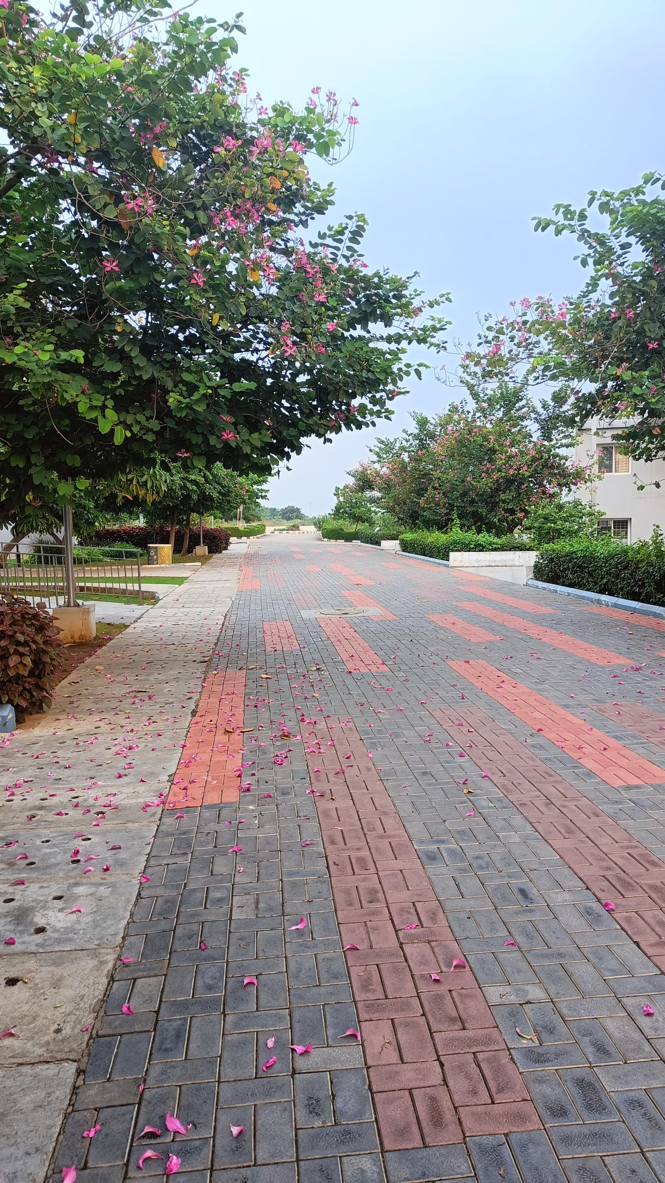 IIT Tirupati Campus photo (20) by Rajan Raj