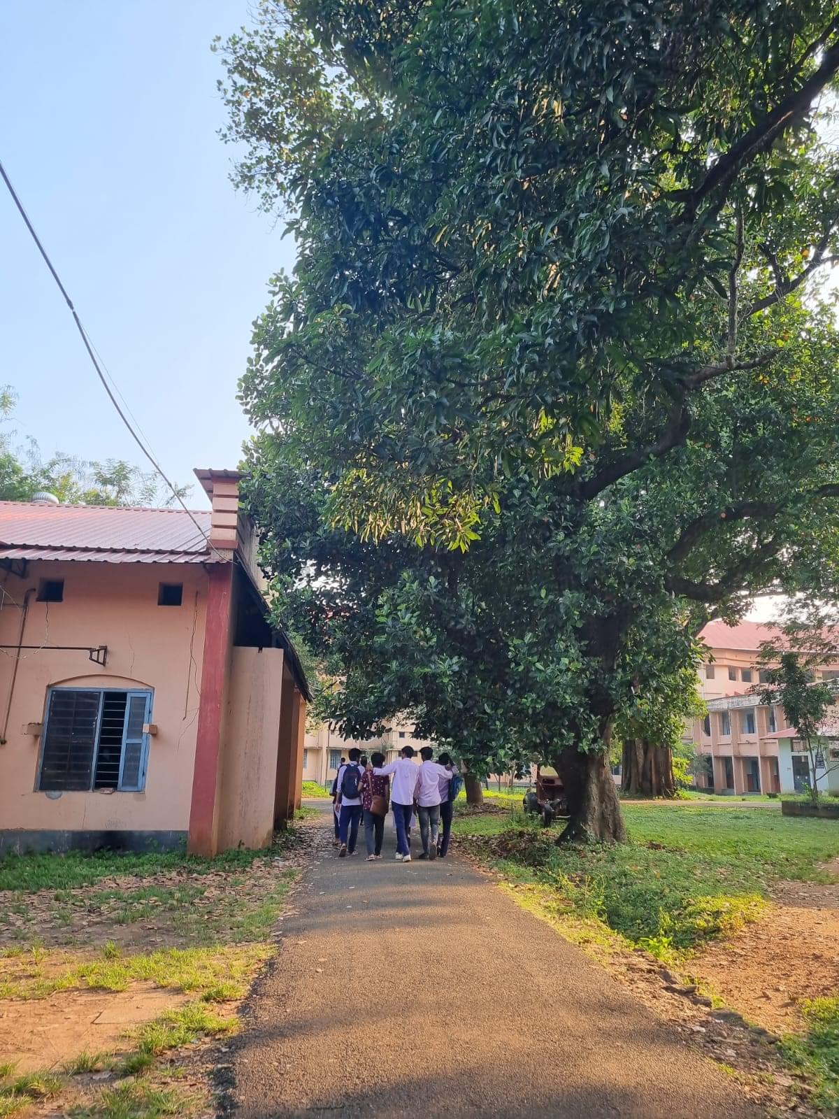 NSS College of Engineering Palakkad General photo (3) by Rajeeb