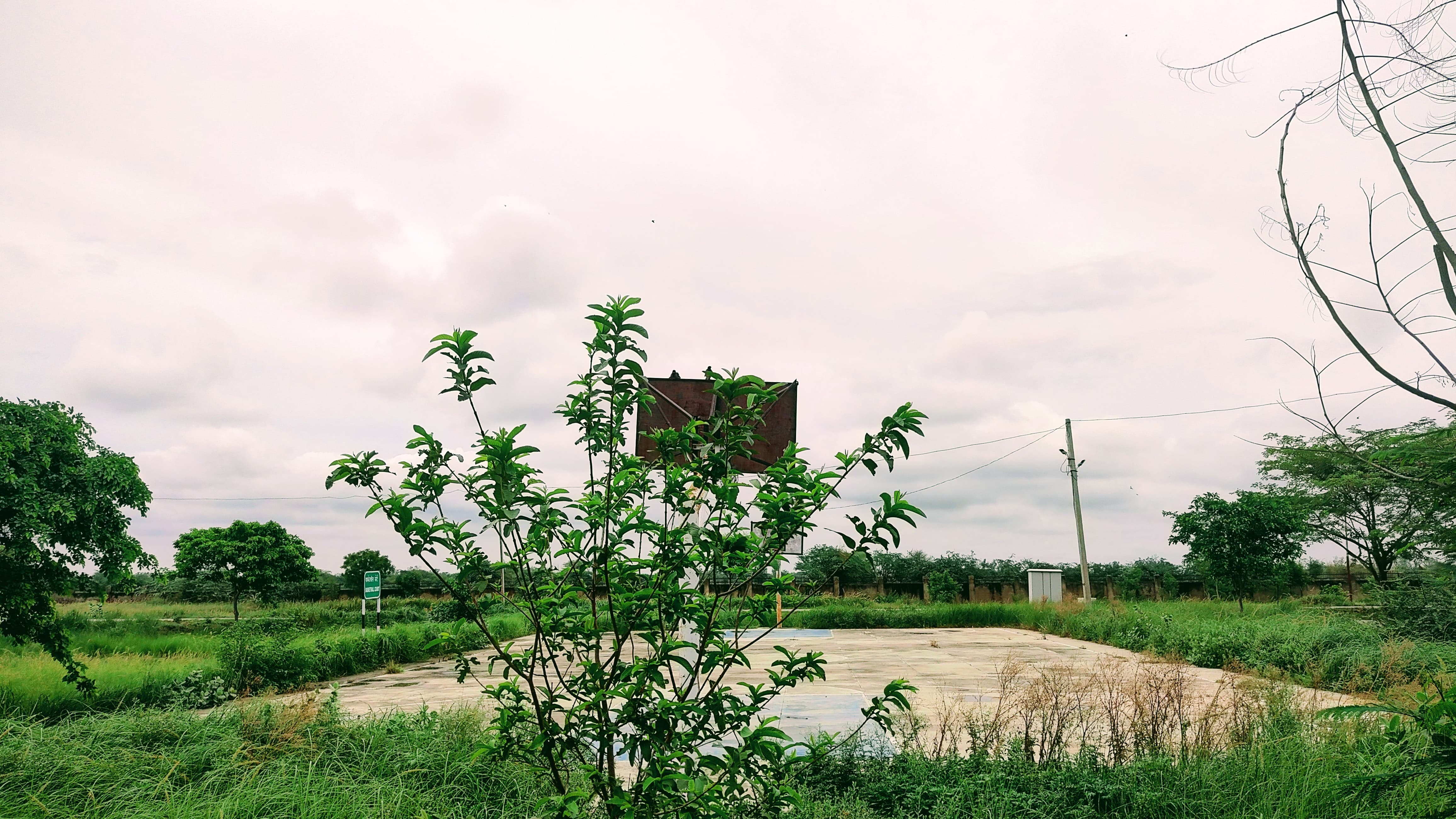 Government Engineering College Bharatpur Campus photo 3